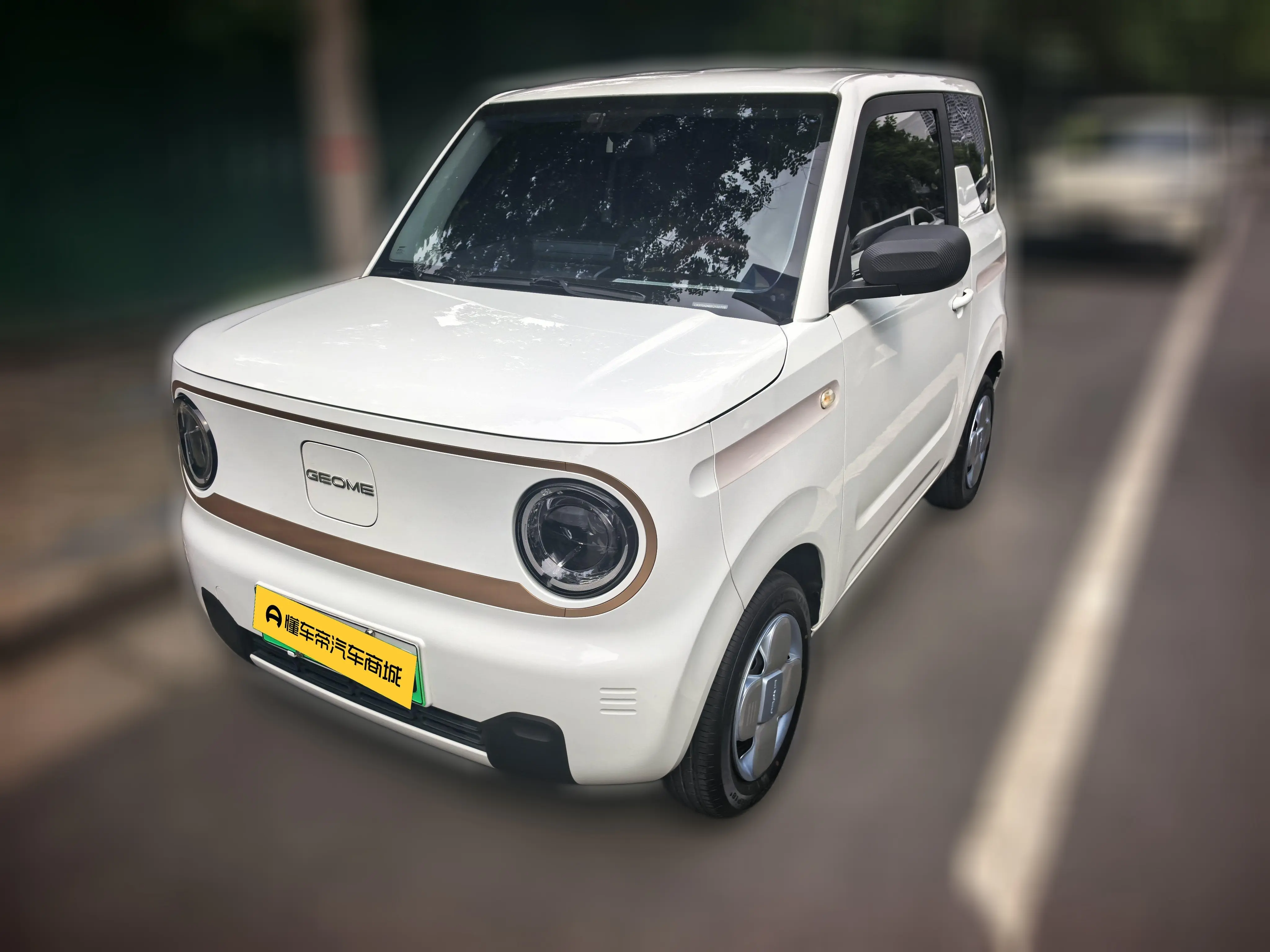 Geely panda