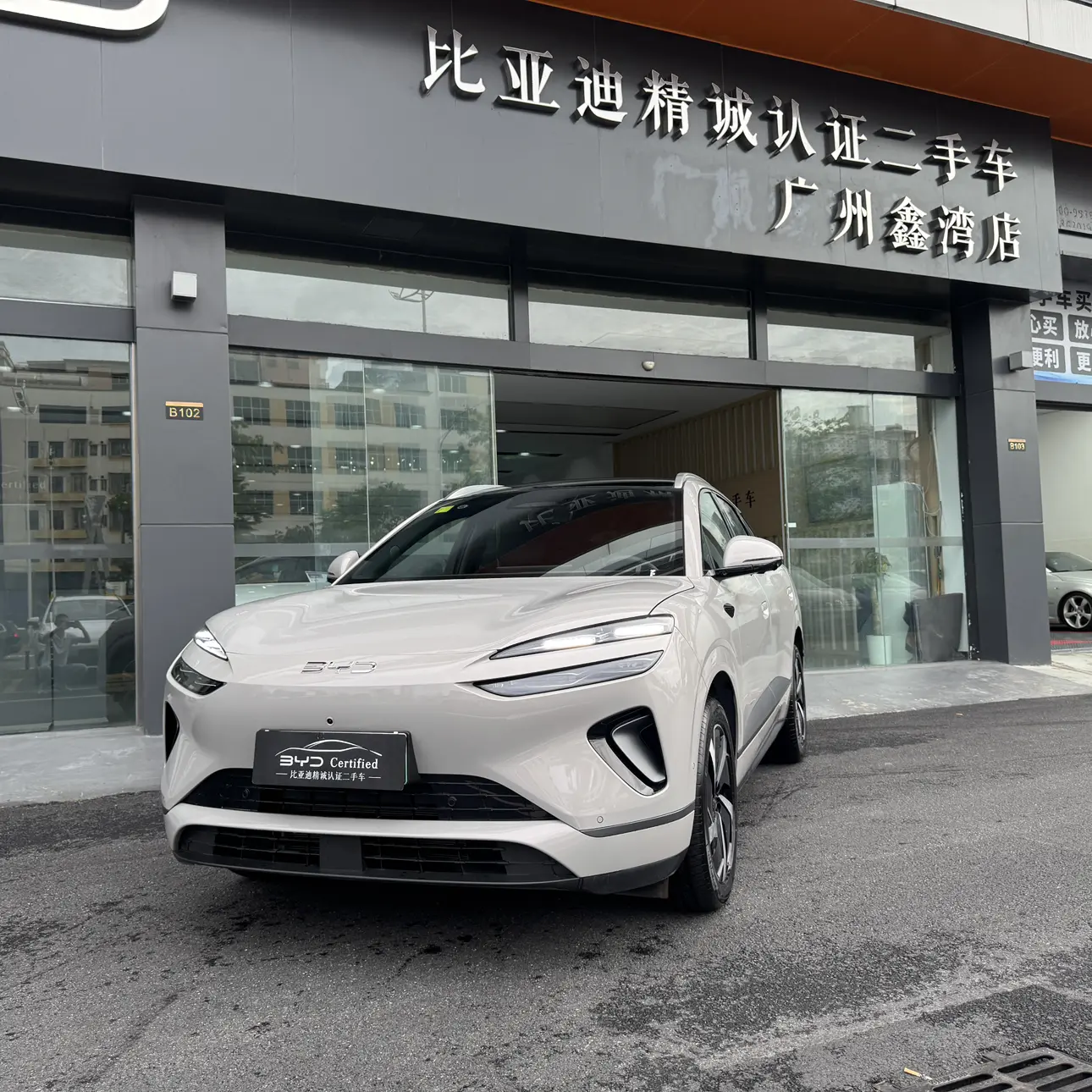 BYD Sea Lion 06DM