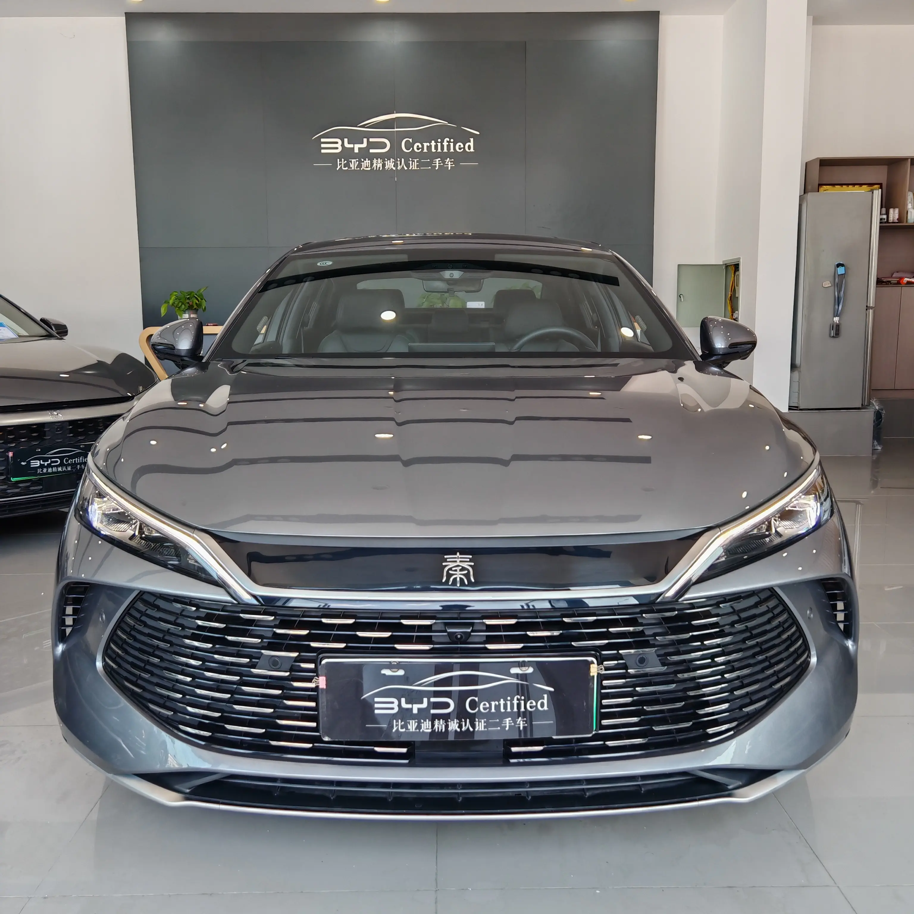 BYD Qin L DM