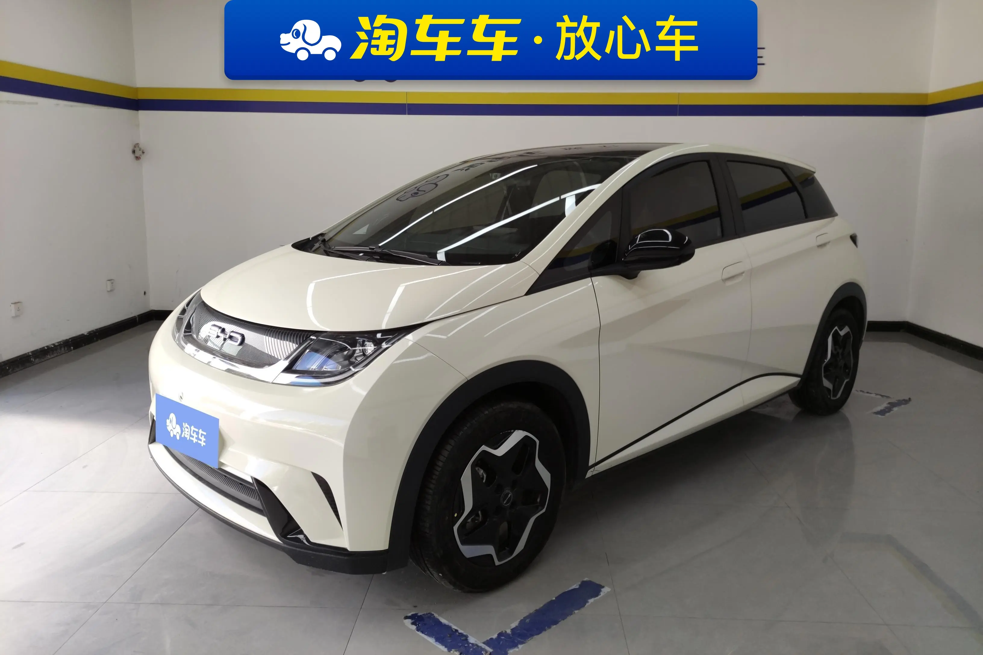 BYD Dolphin