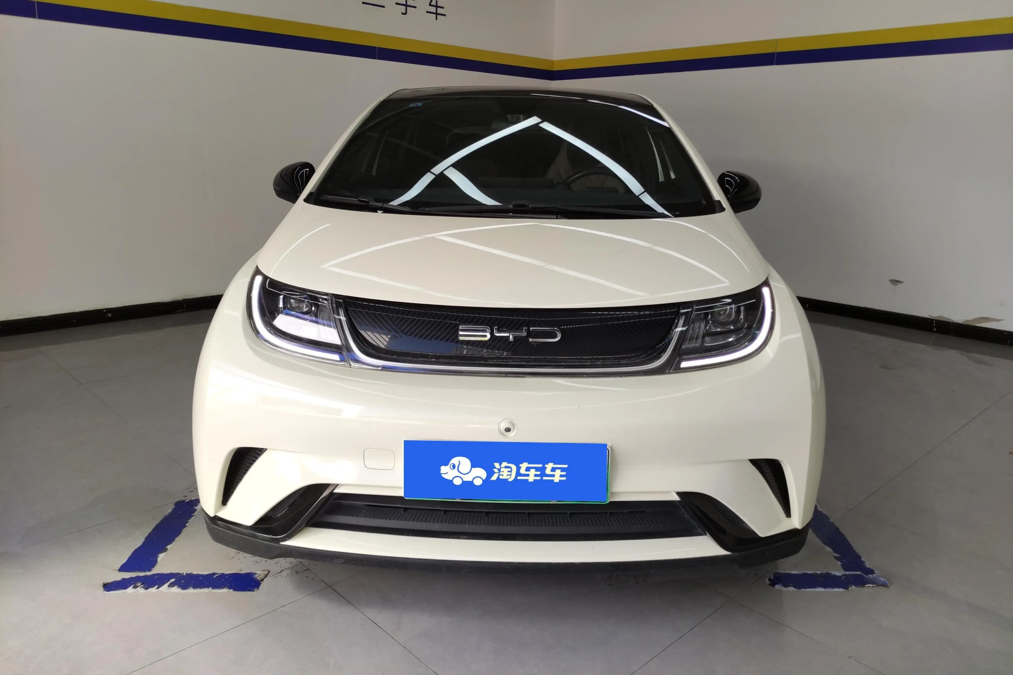 BYD Dolphin