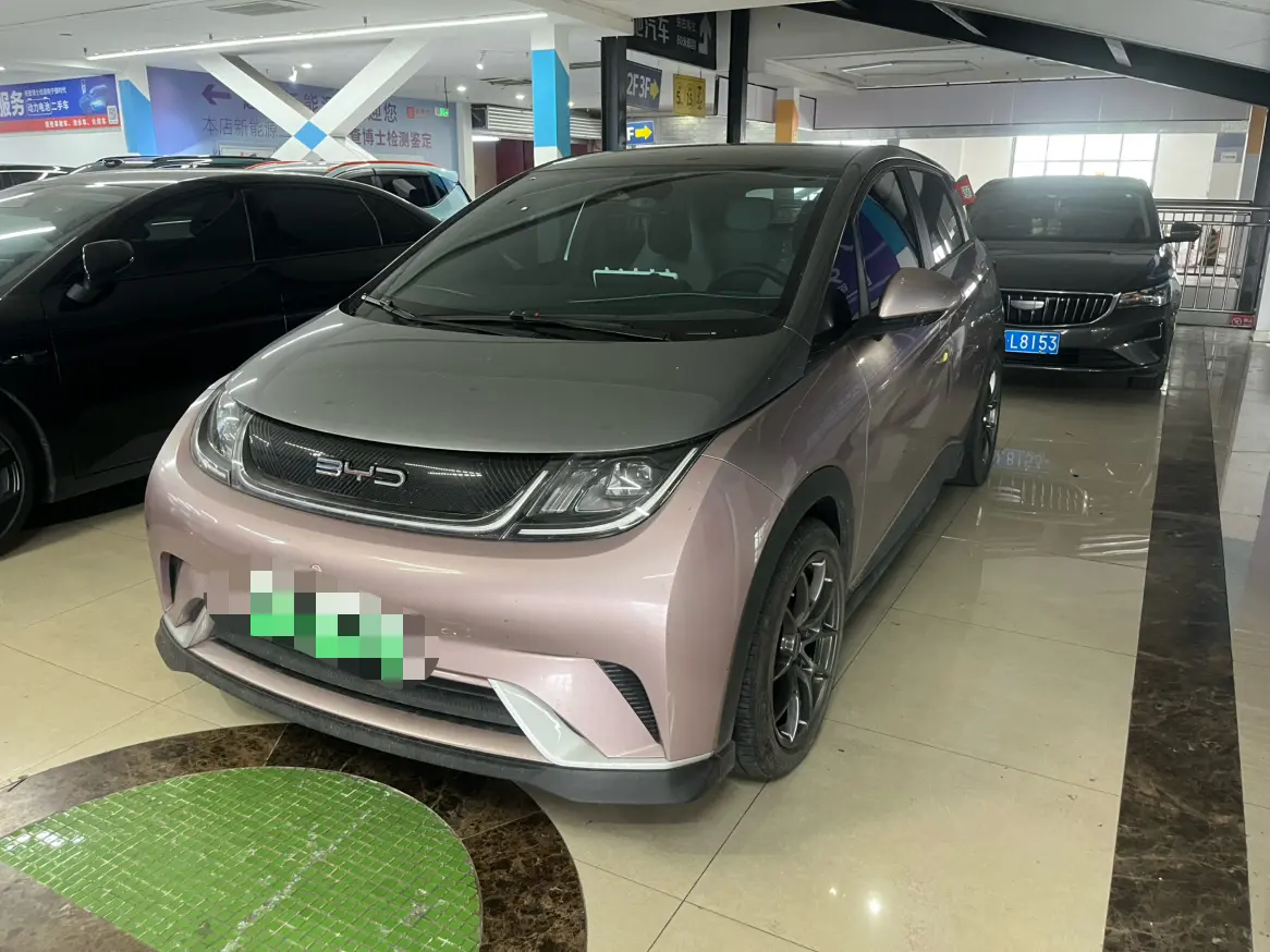 BYD Dolphin