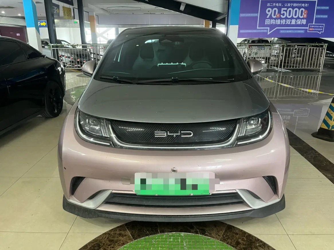 BYD Dolphin