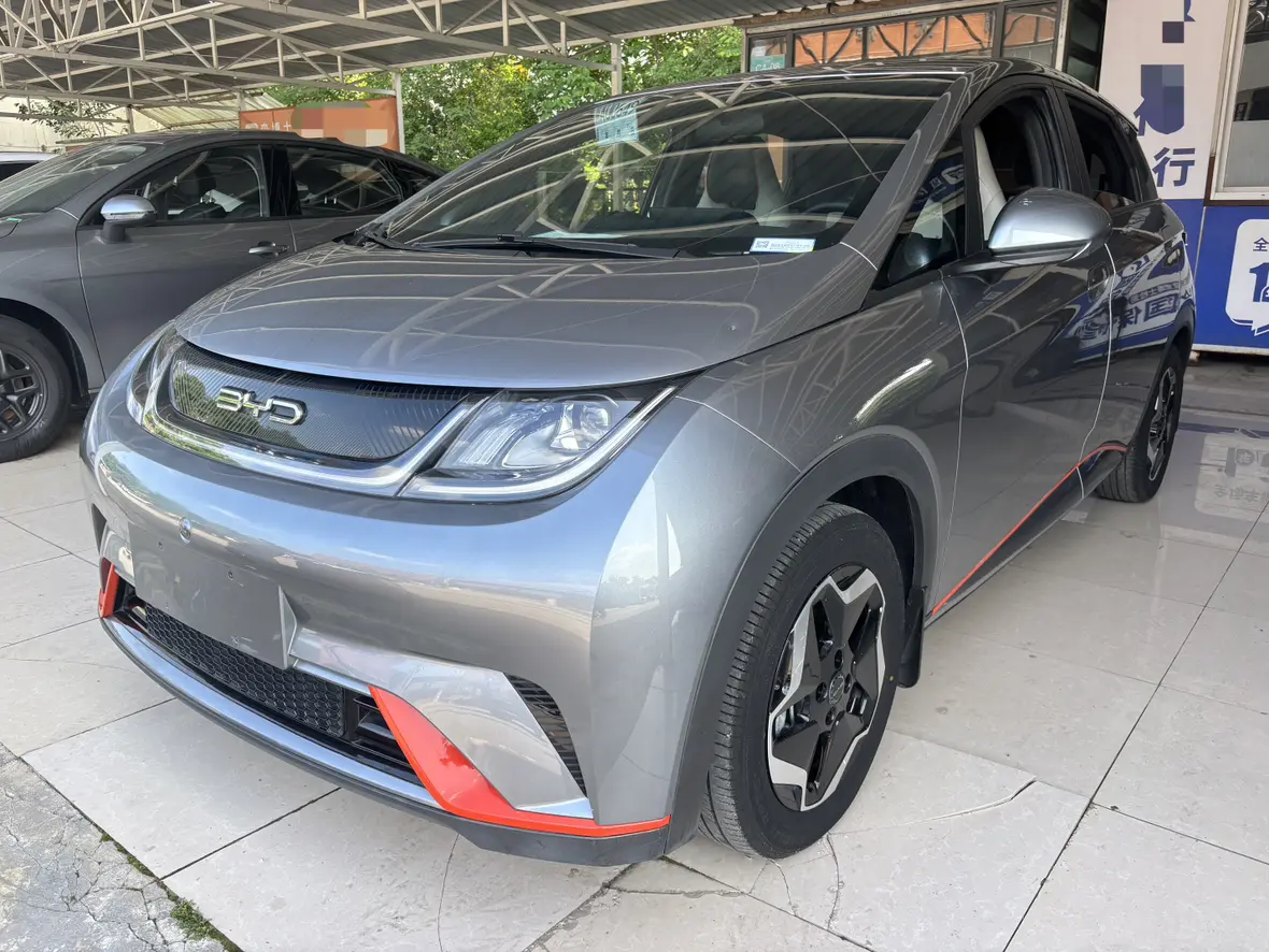 BYD Dolphin