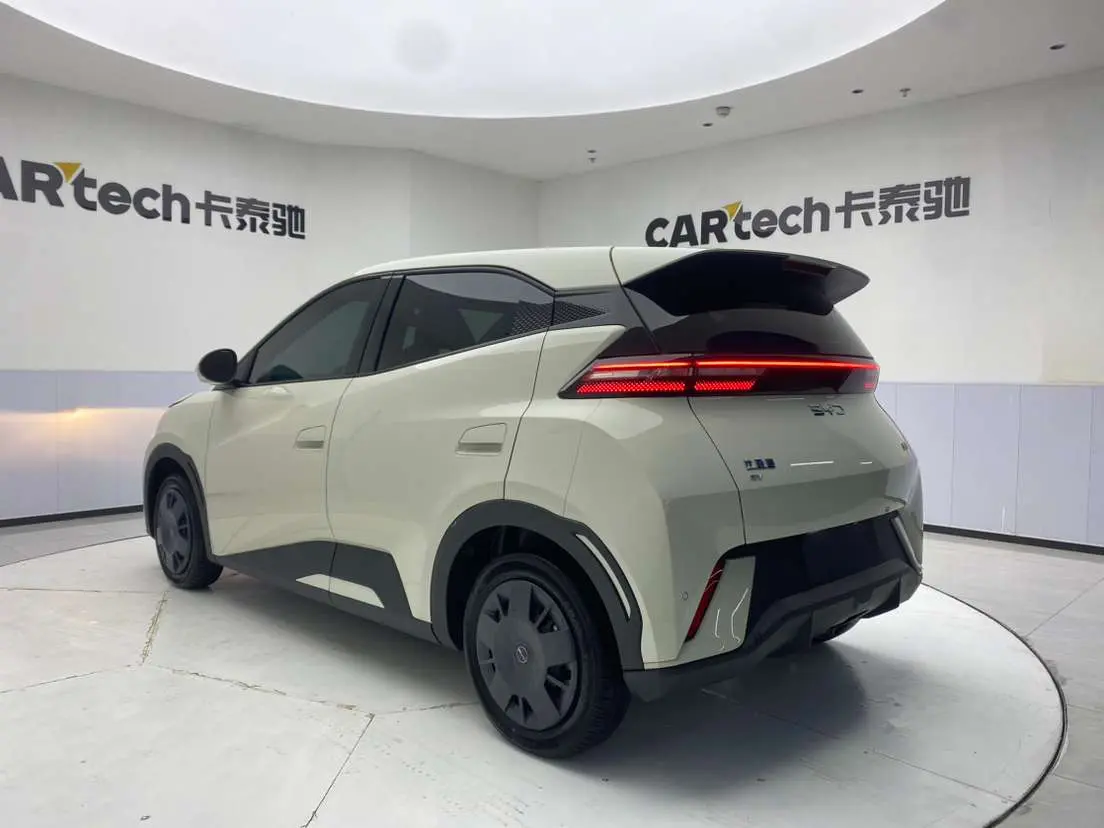 BYD Seagull