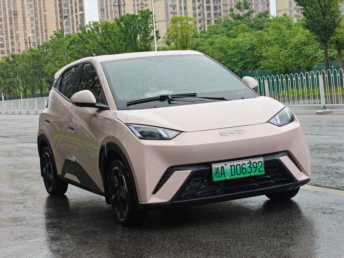 BYD Seagull