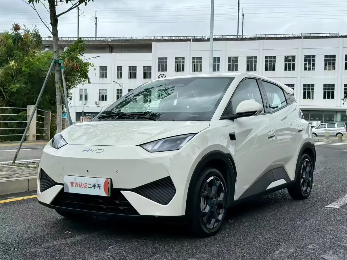 BYD Seagull
