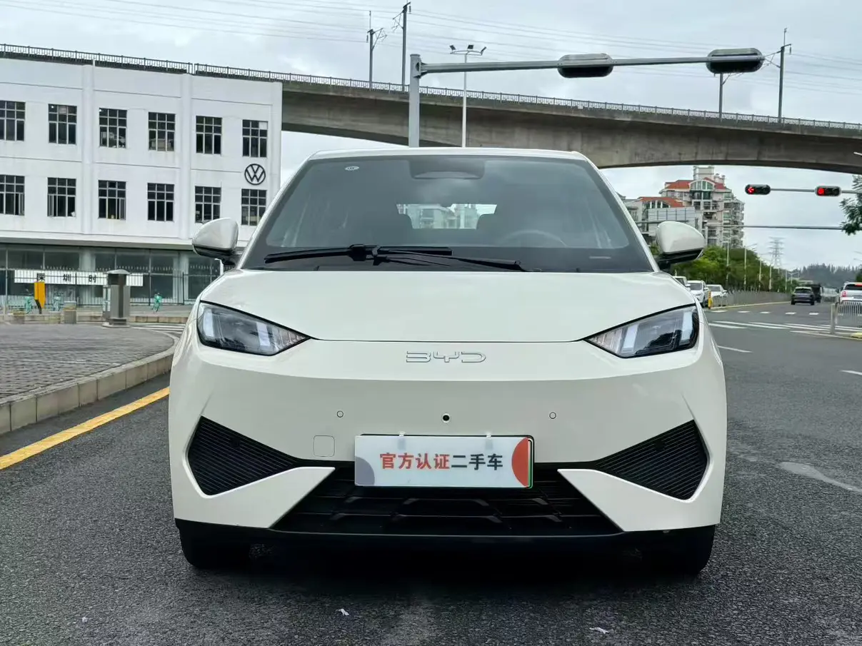 BYD Seagull