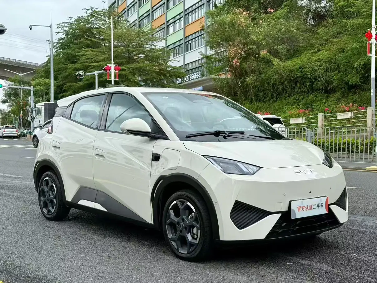 BYD Seagull