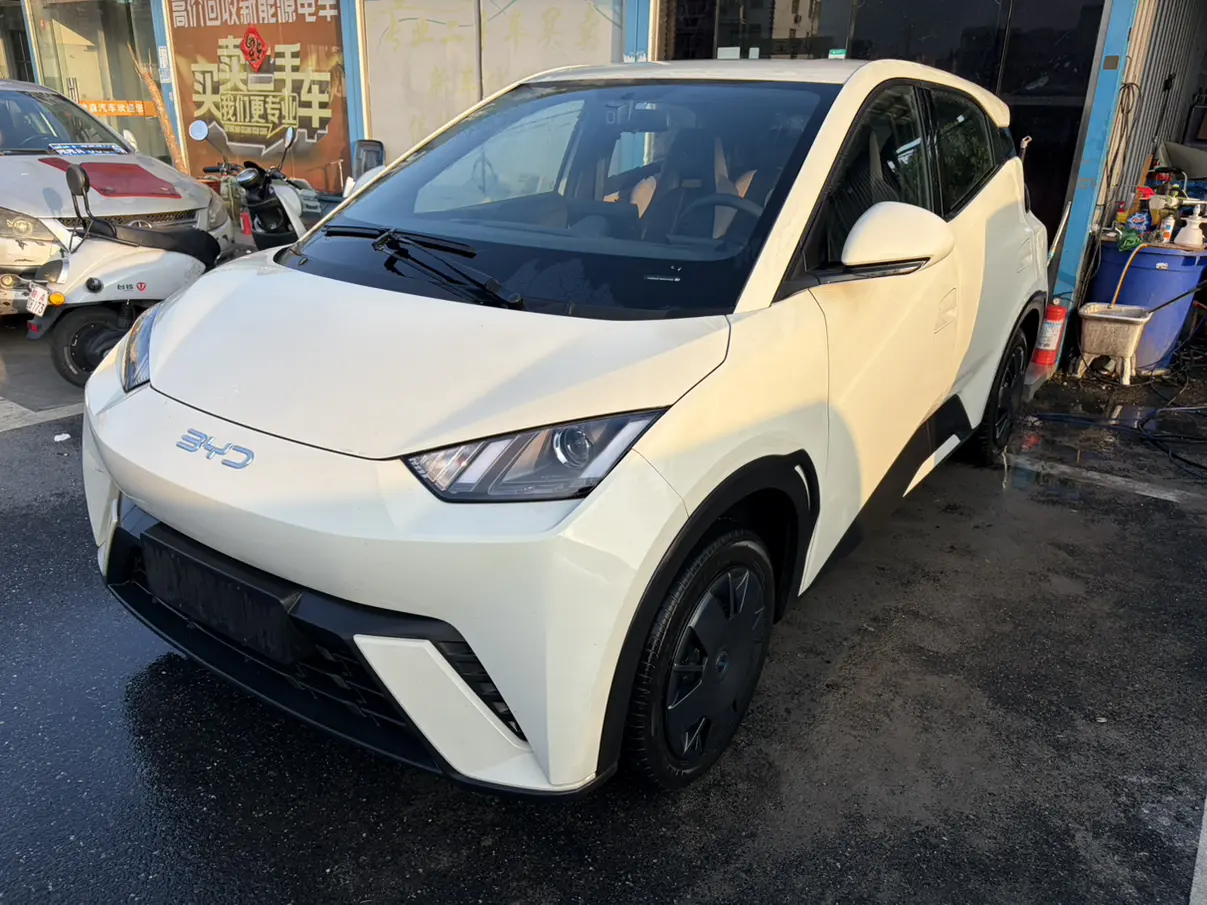BYD Seagull