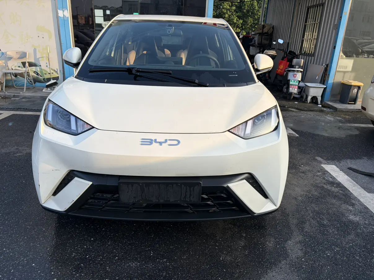 BYD Seagull