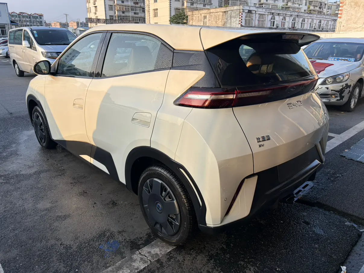 BYD Seagull