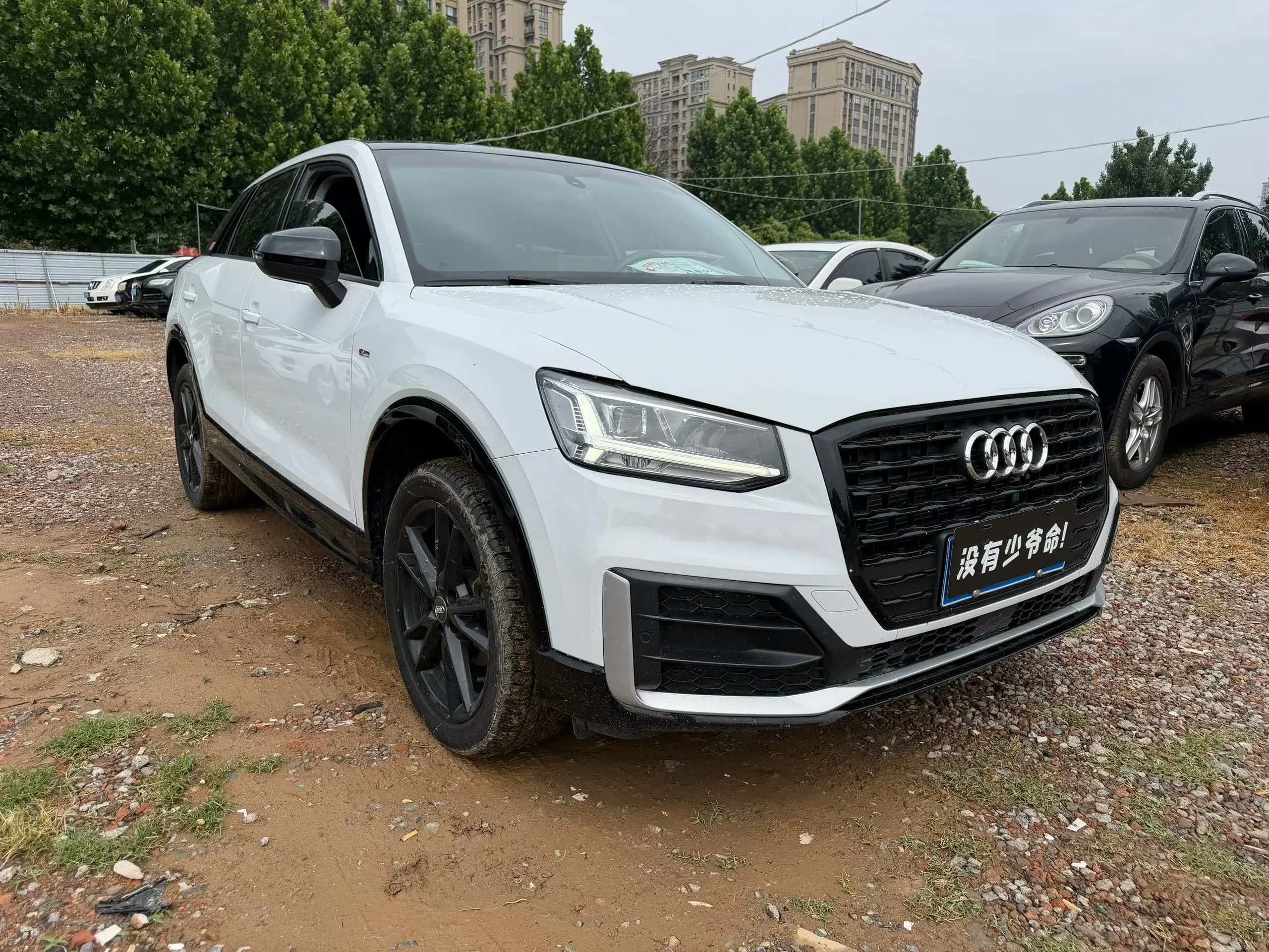 Audi Q2L