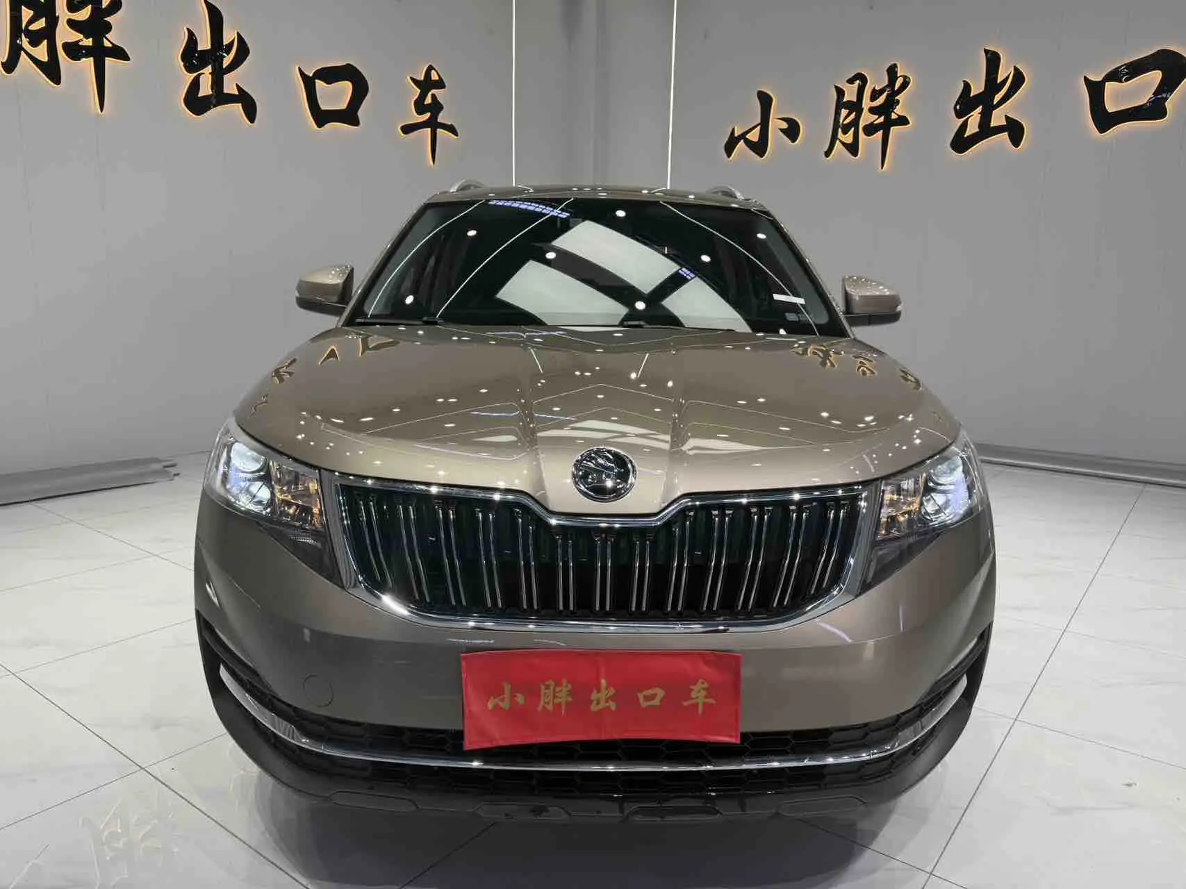 Skoda Comek