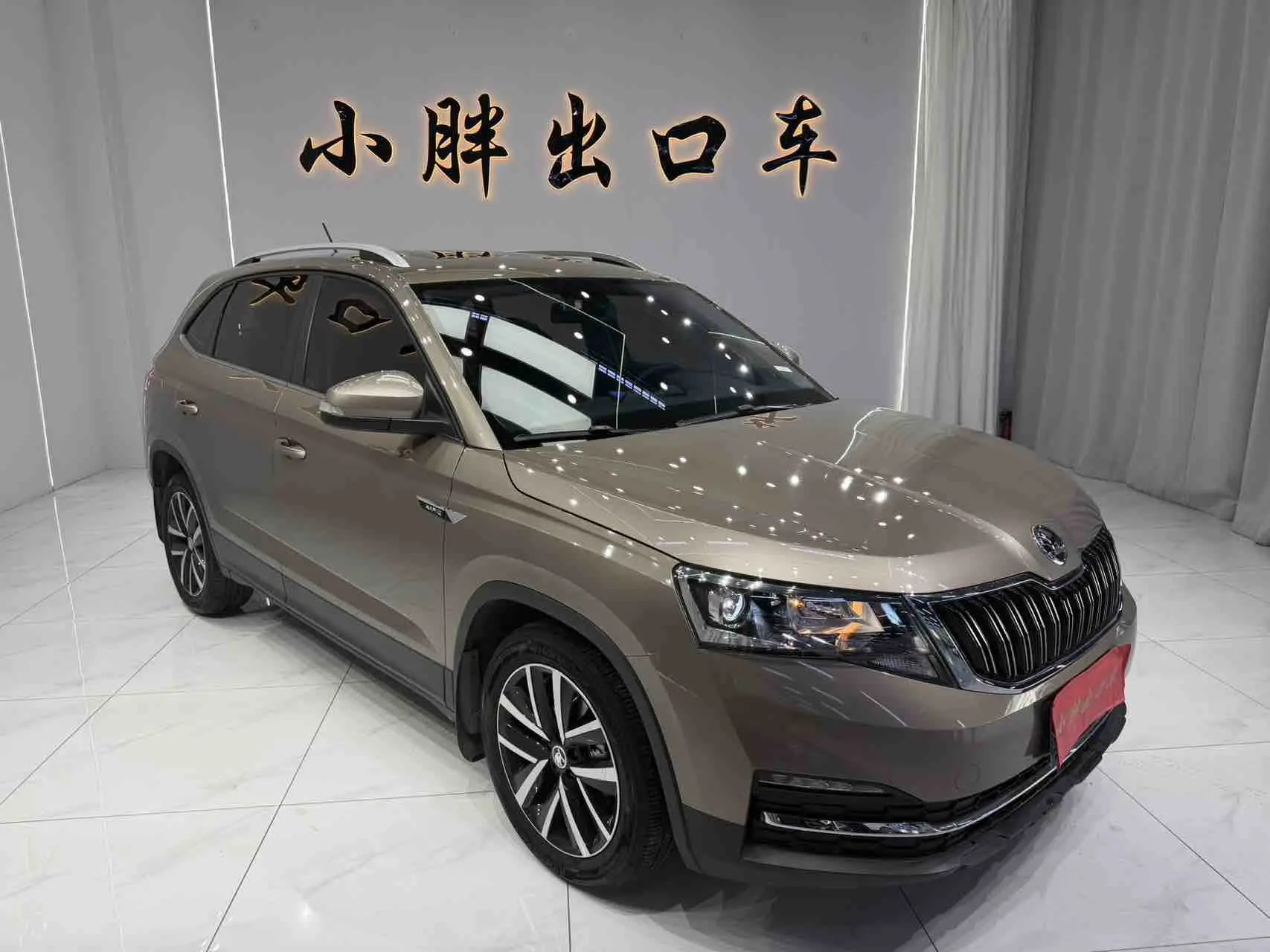 Skoda Comek