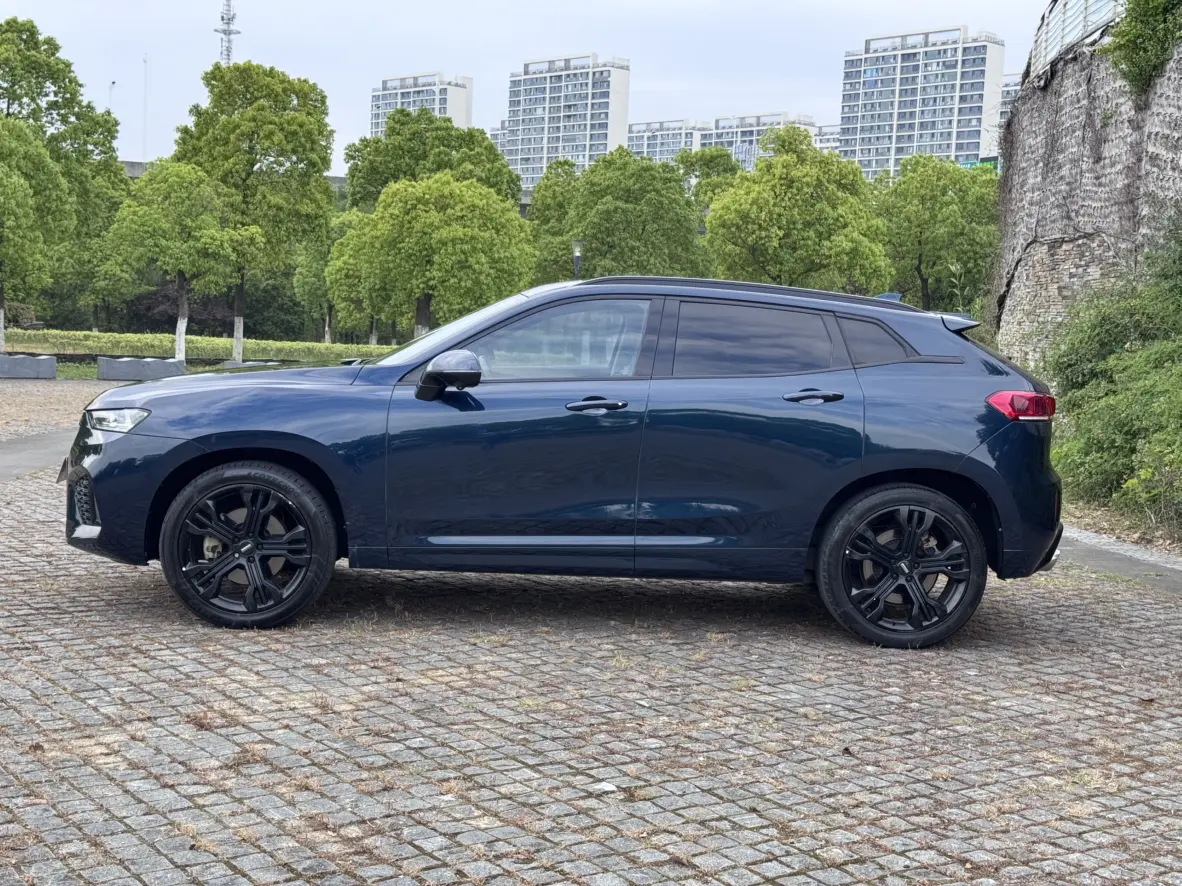 Wey Wei brand VV7