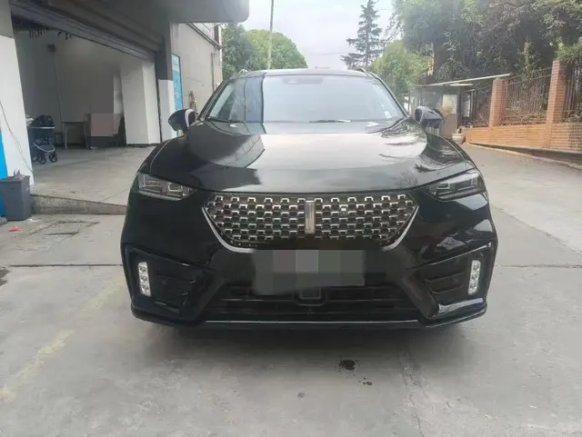 Wey Wei brand VV7