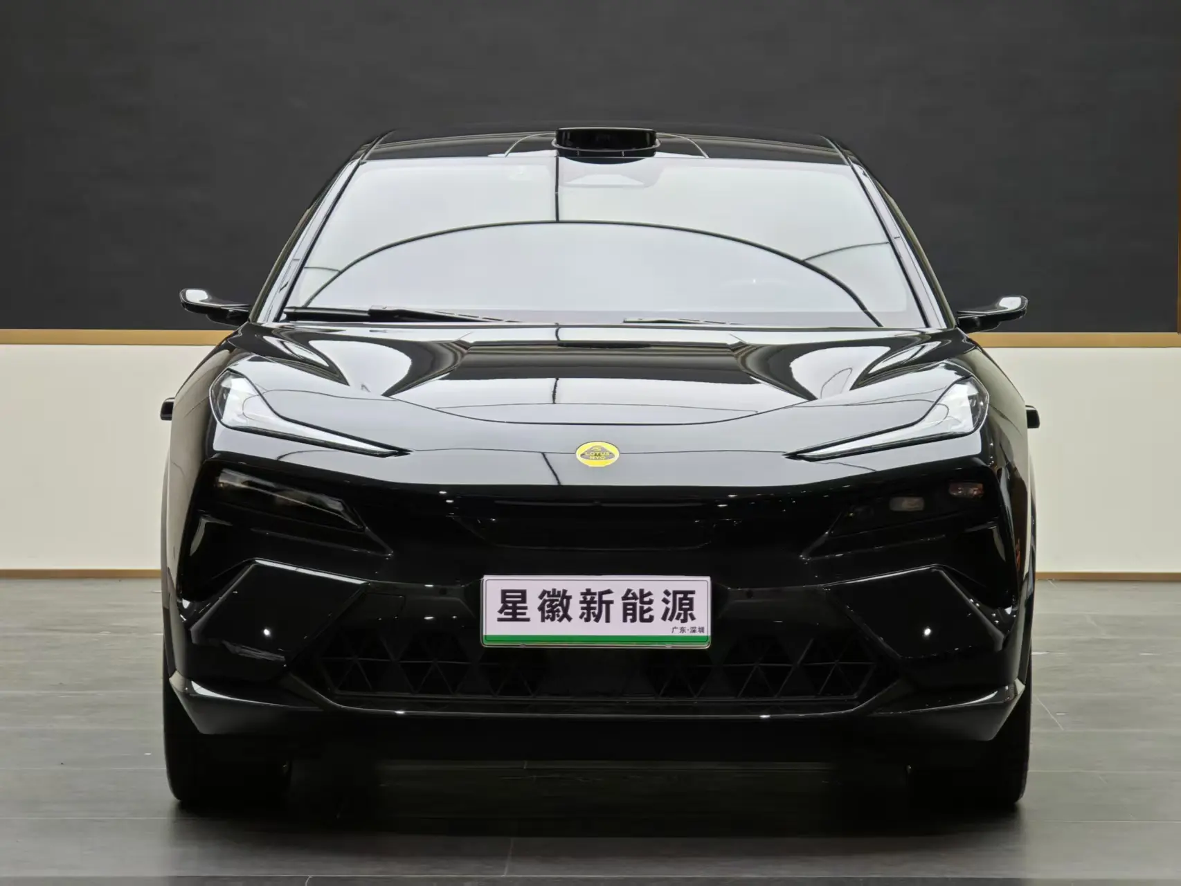Lotus Eletre