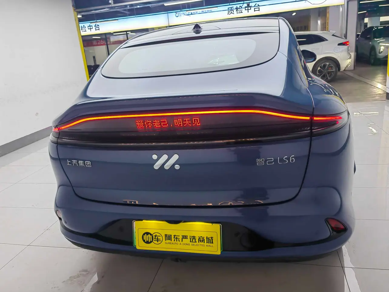 IM Motors LS6