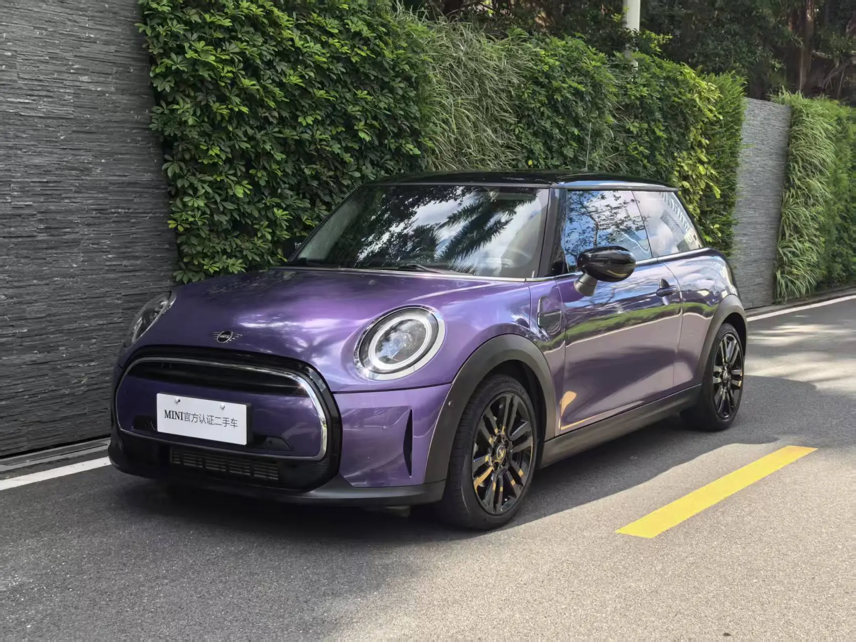 MINI 