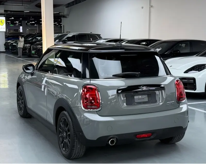 MINI 