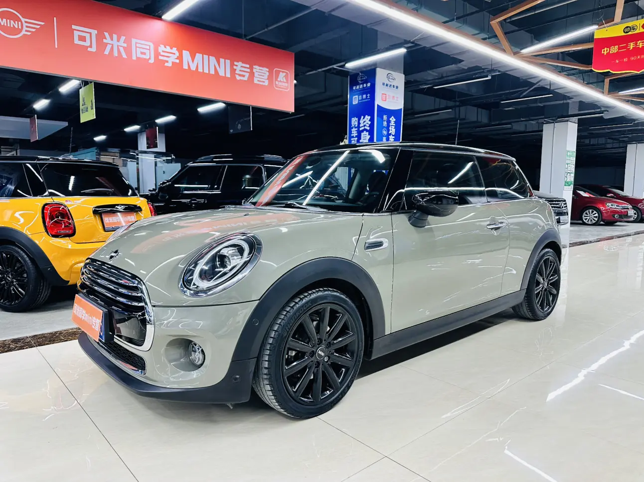 MINI 