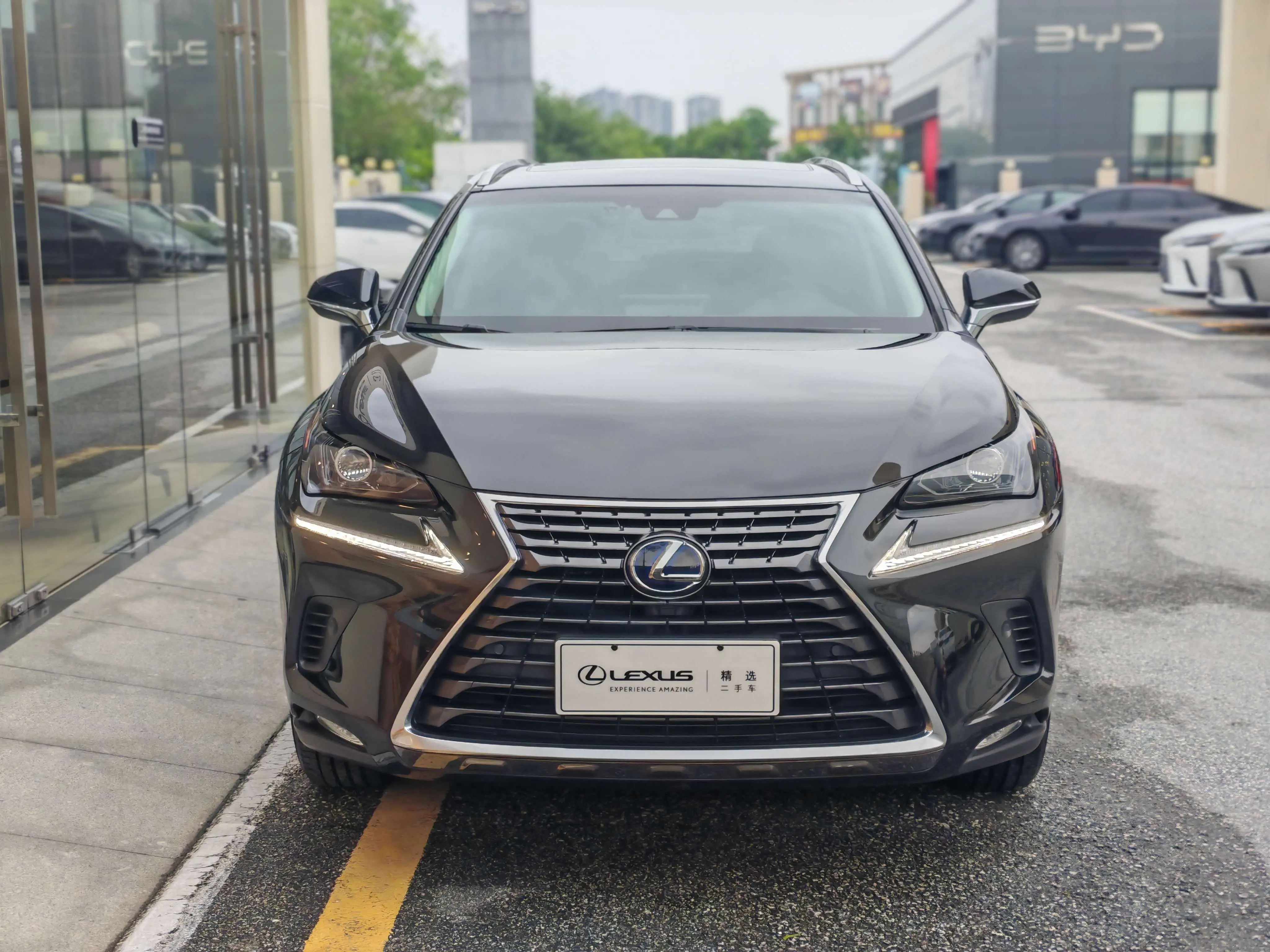 Lexus NX