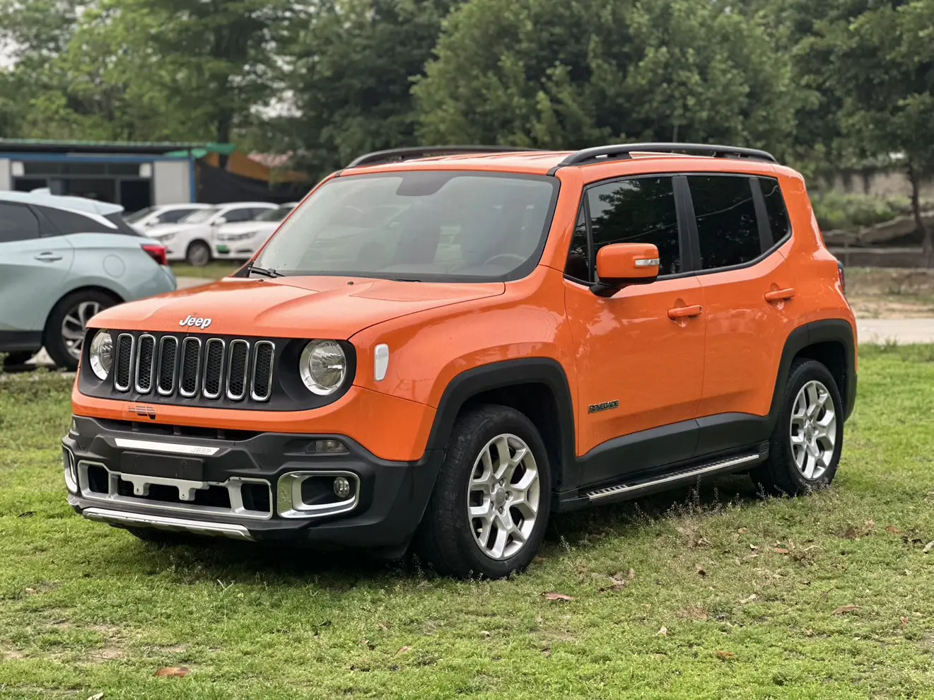 Jeep Freeman