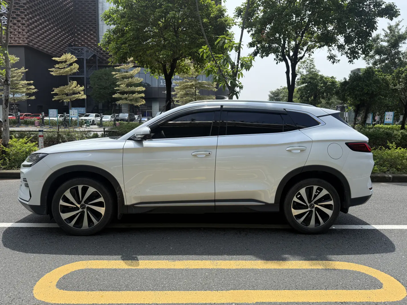 BYD Song PLUS DM