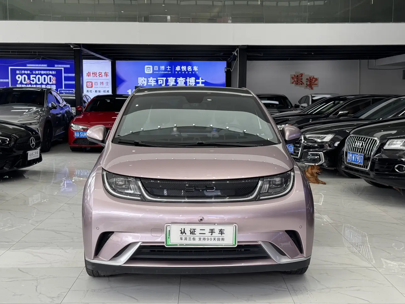 BYD Dolphin