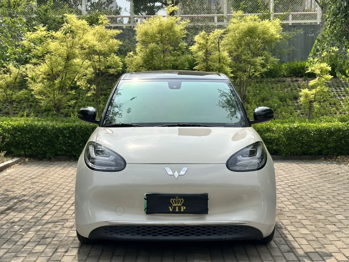 Wuling Bingo