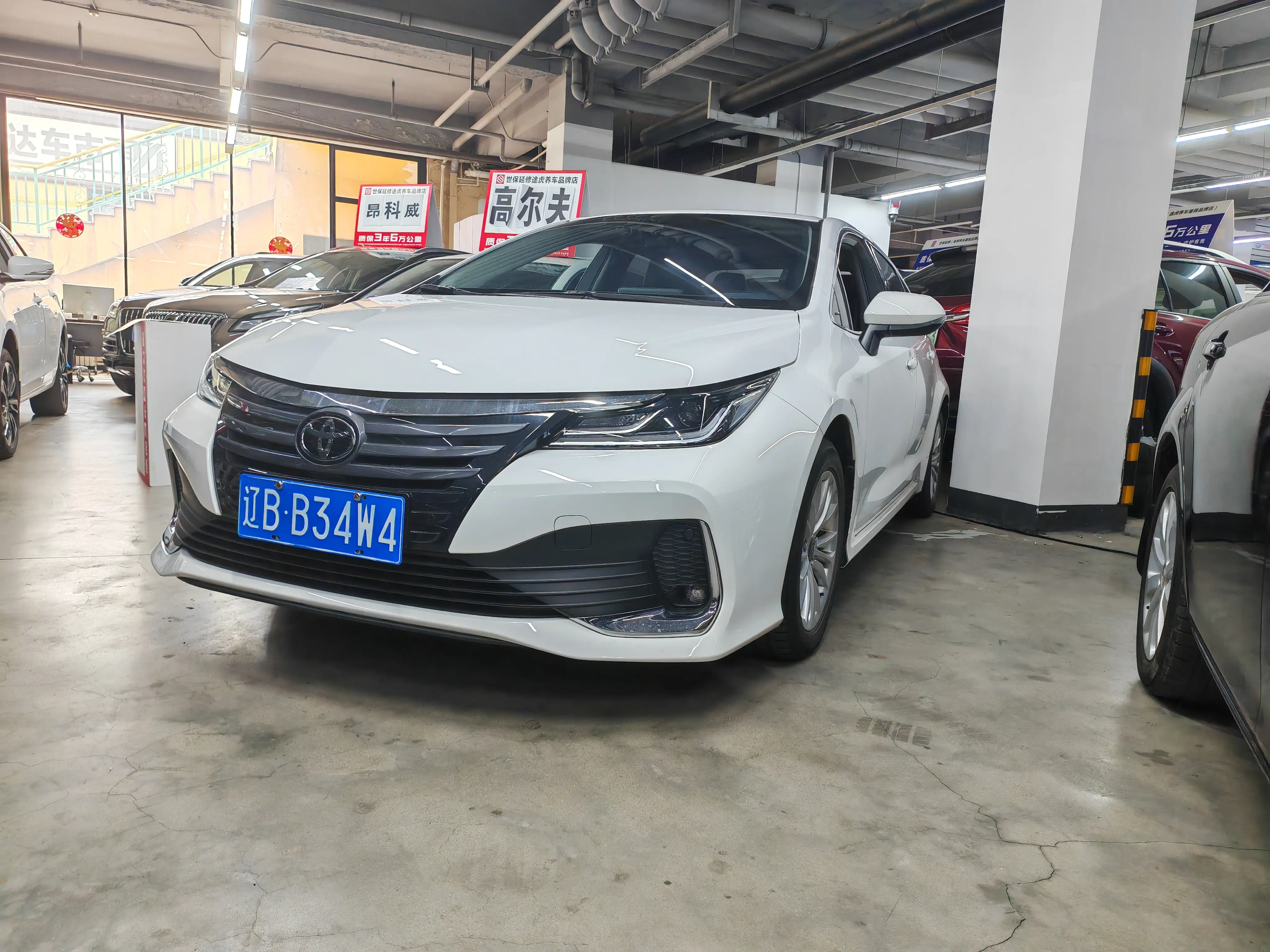 Toyota Asiatic lion
