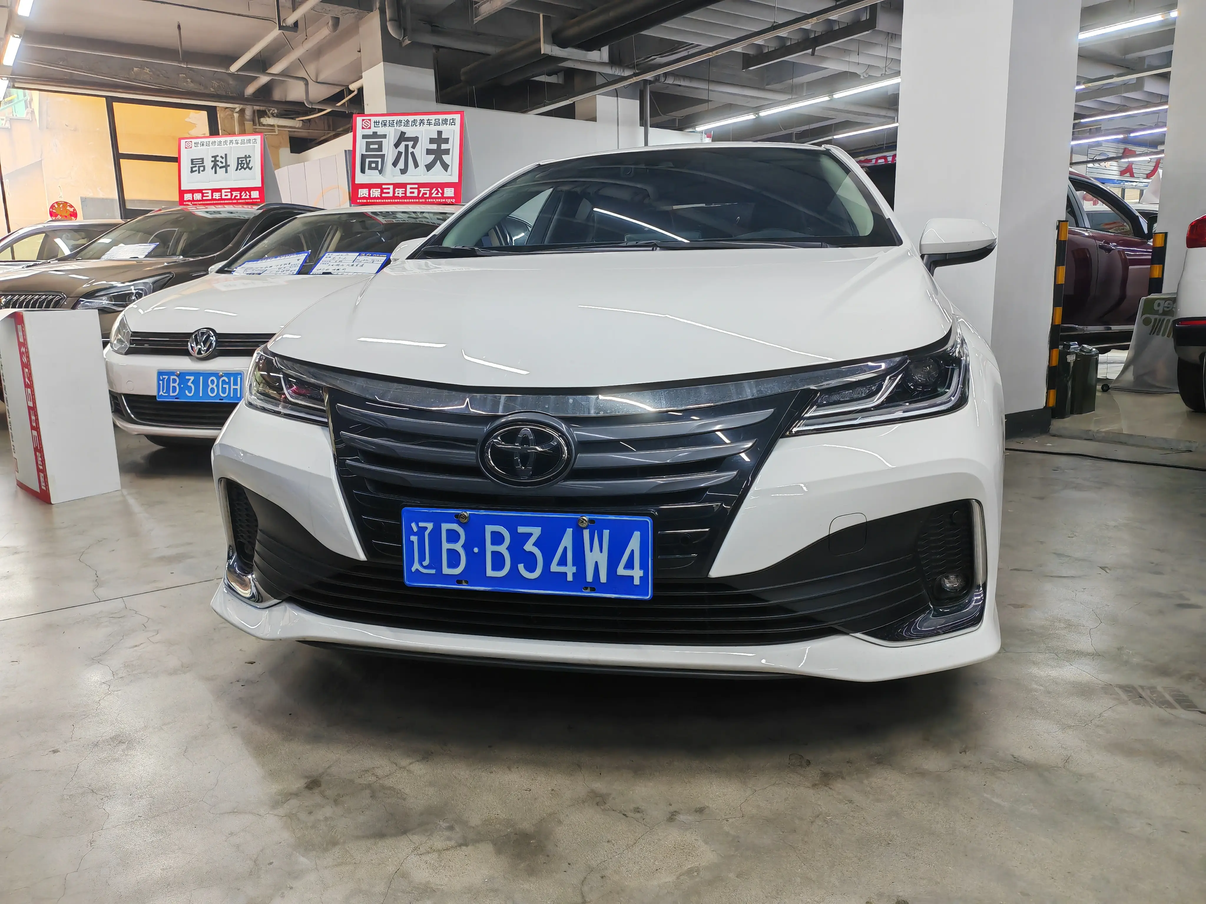 Toyota Asiatic lion
