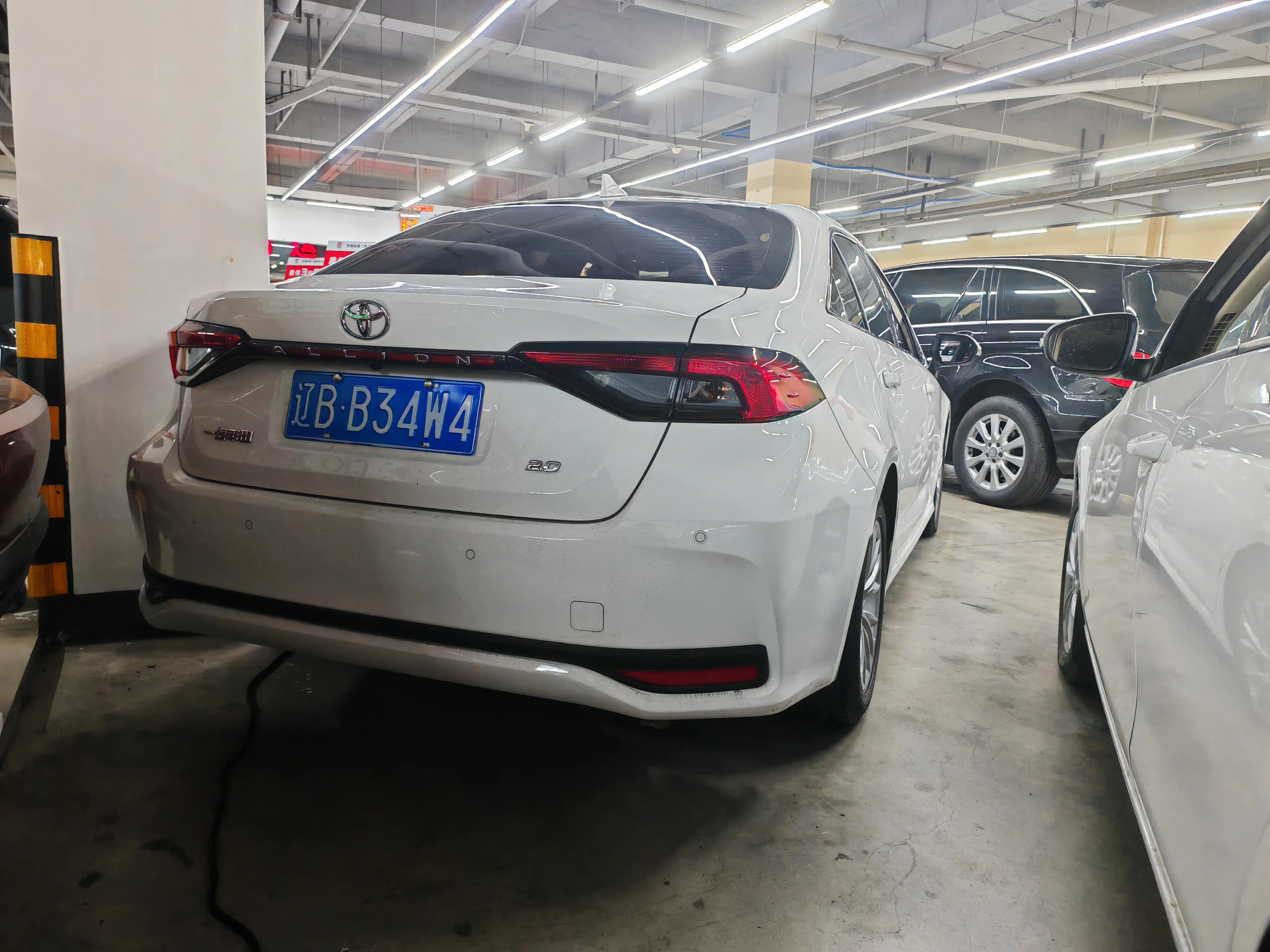 Toyota Asiatic lion