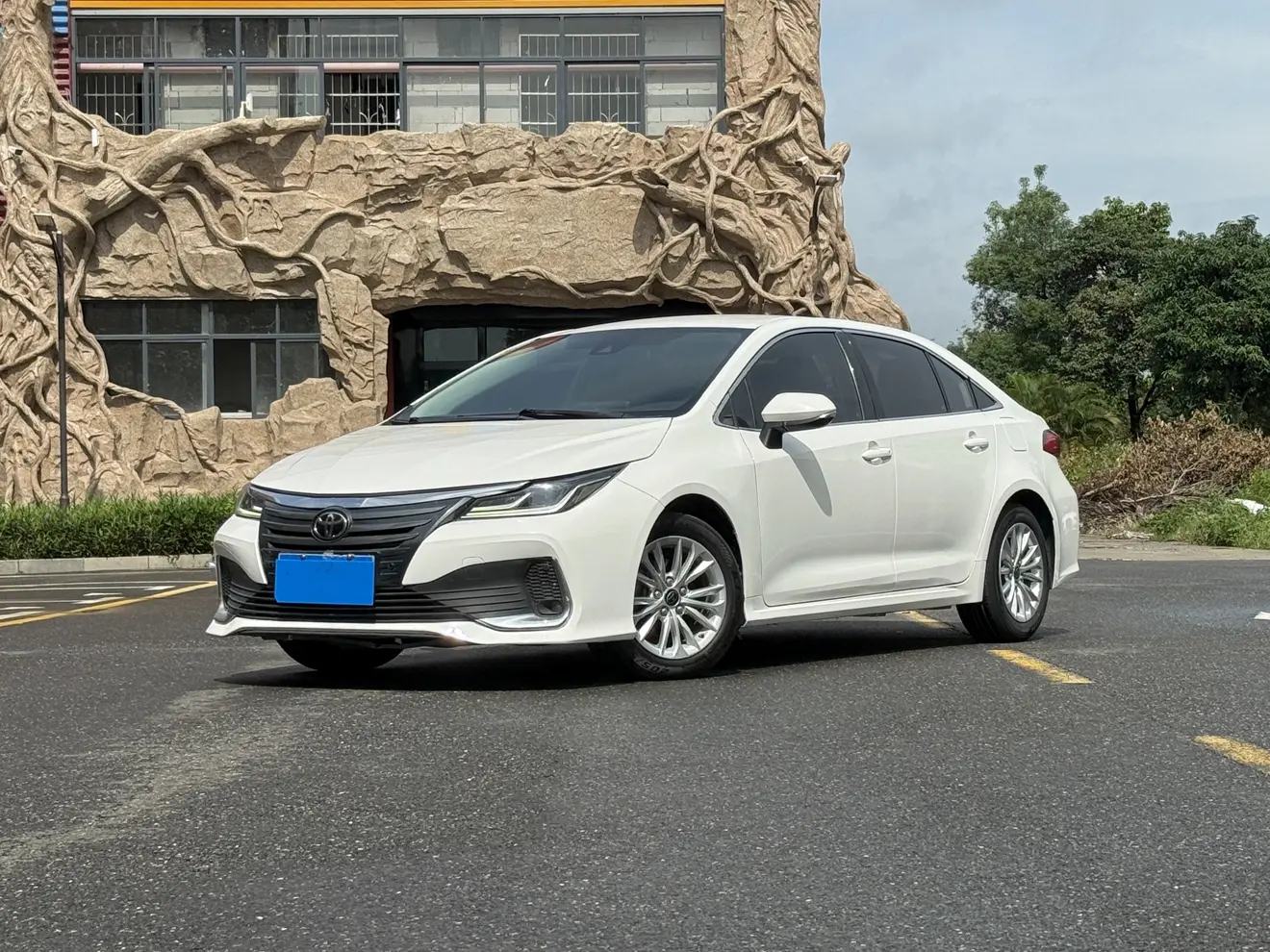 Toyota Asiatic lion