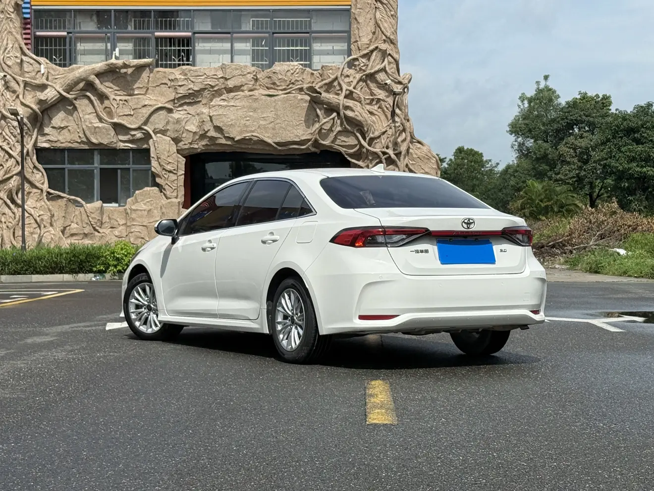 Toyota Asiatic lion