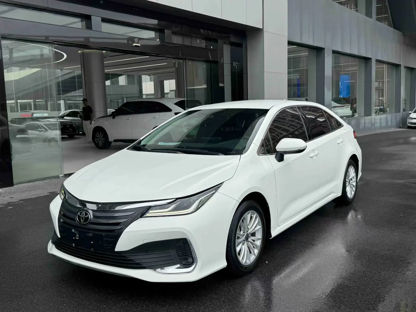 Toyota Asiatic lion