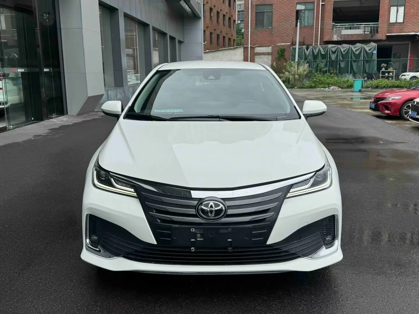 Toyota Asiatic lion