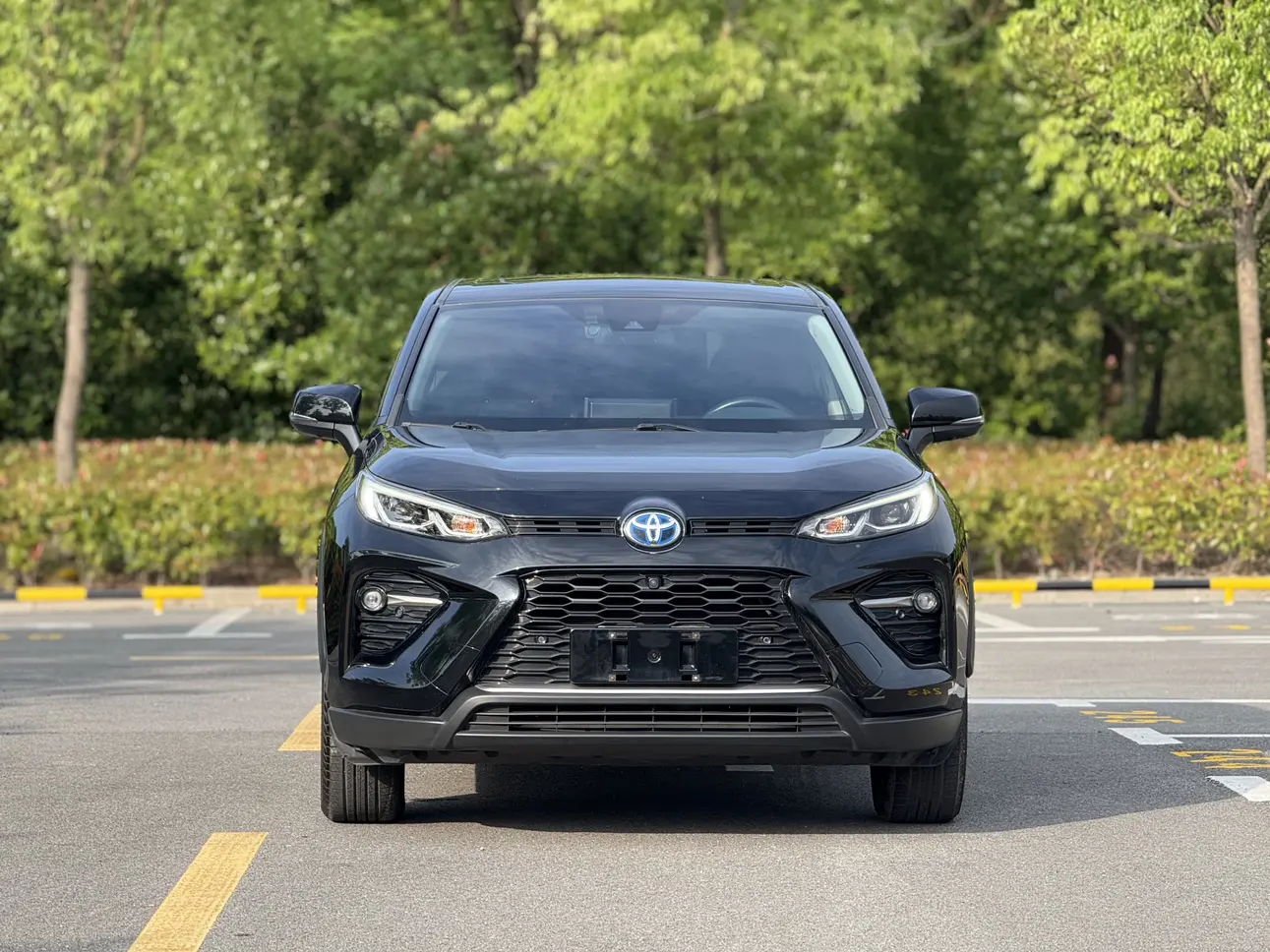 Toyota Willanda