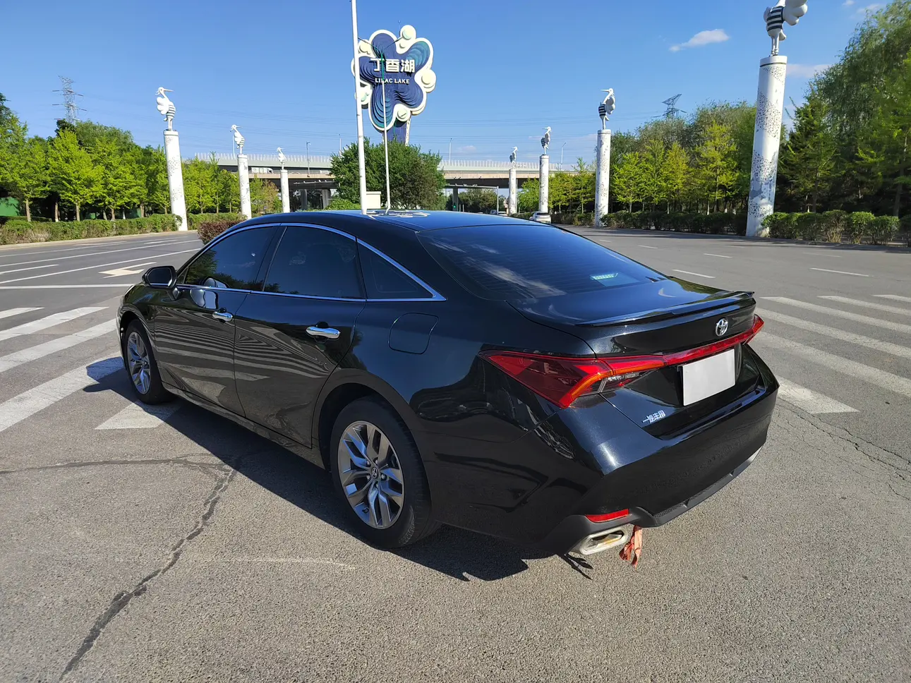 Toyota Avalon