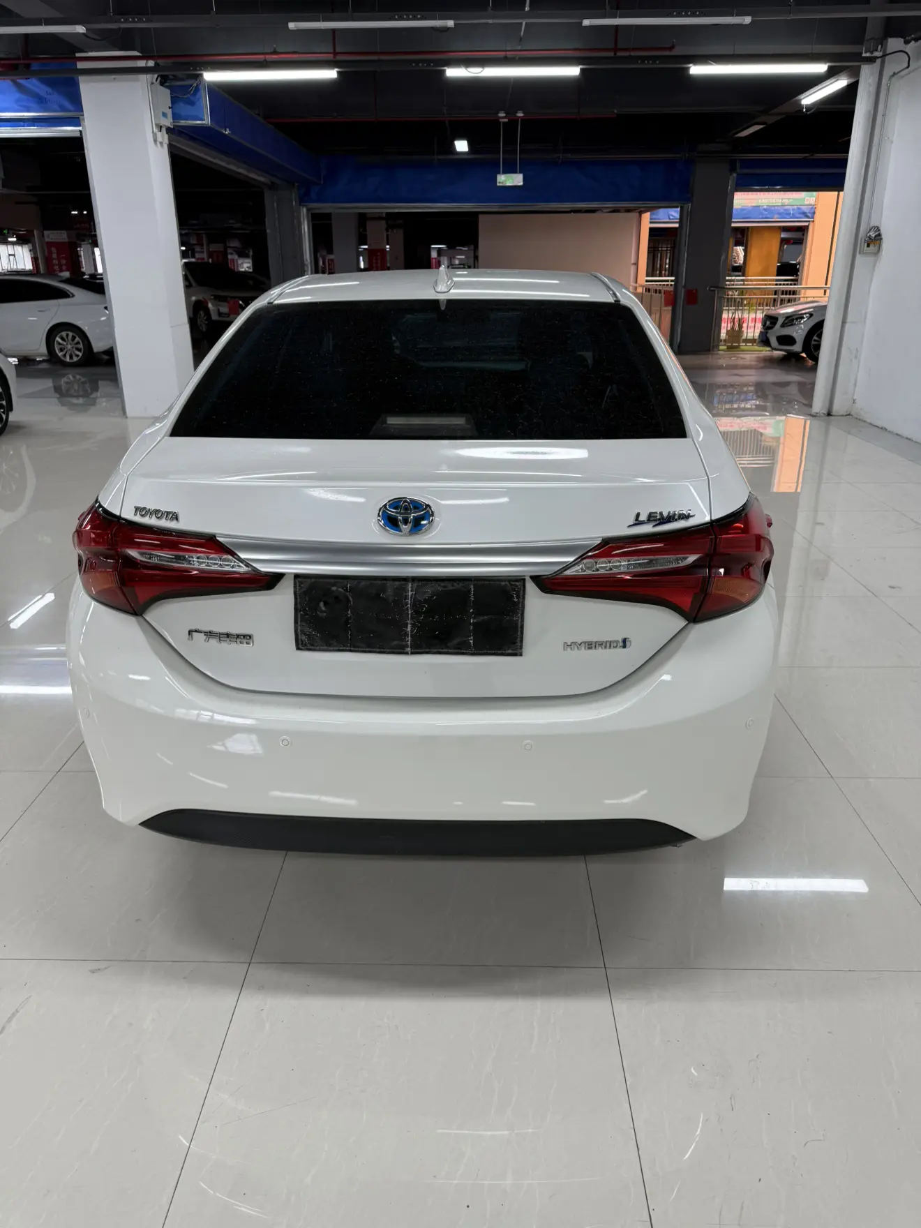 Toyota Levin