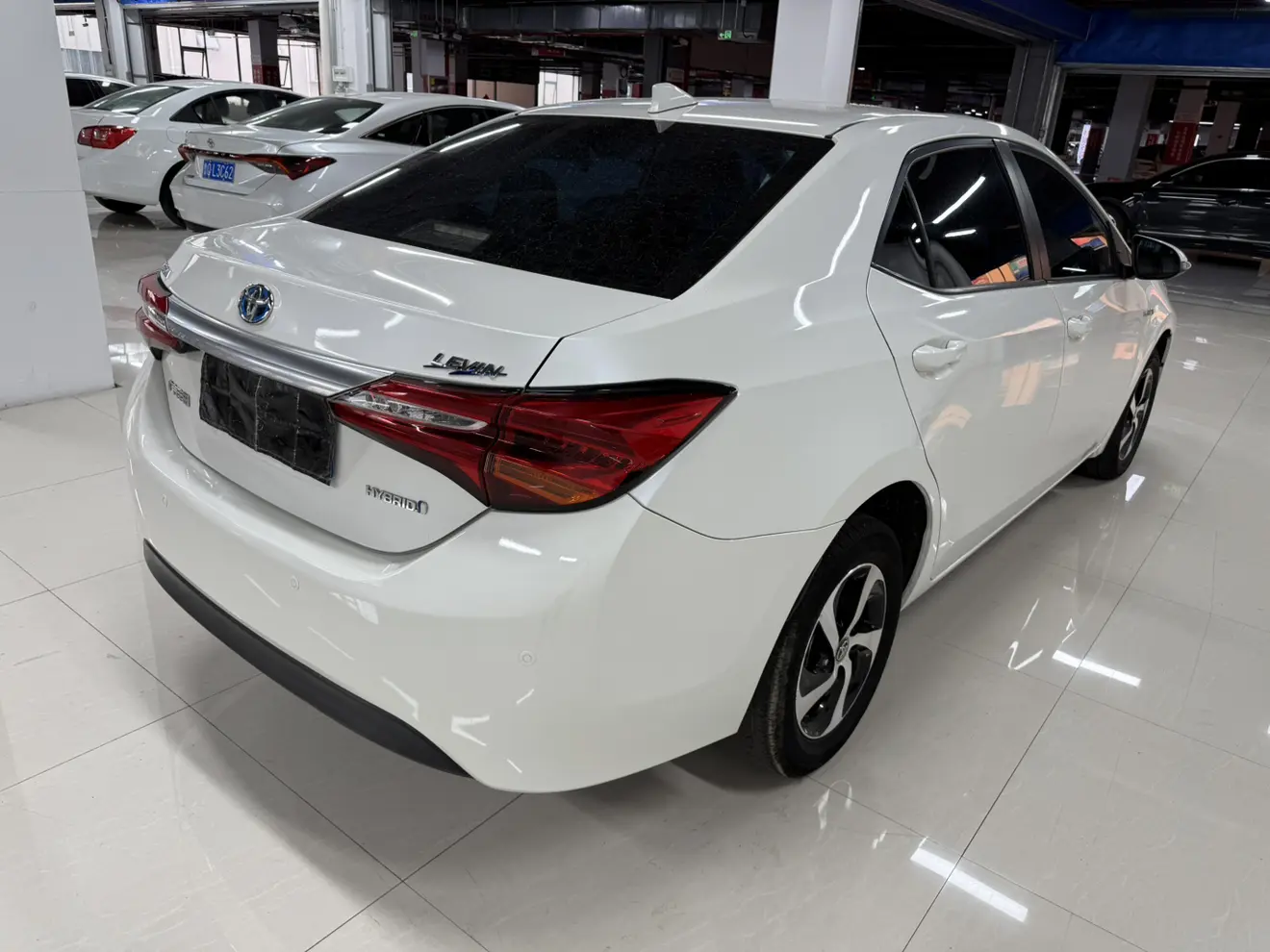 Toyota Levin