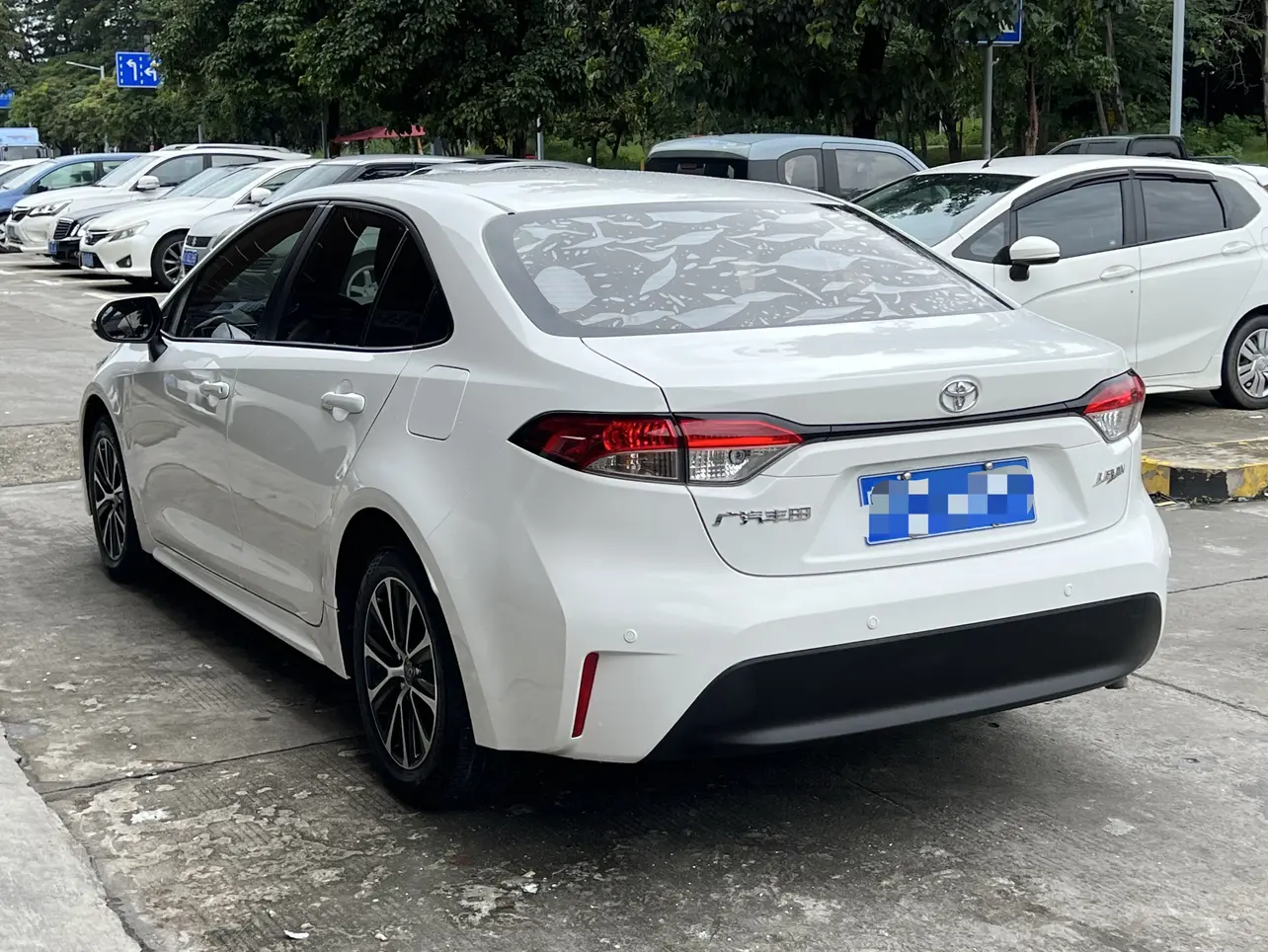 Toyota Levin