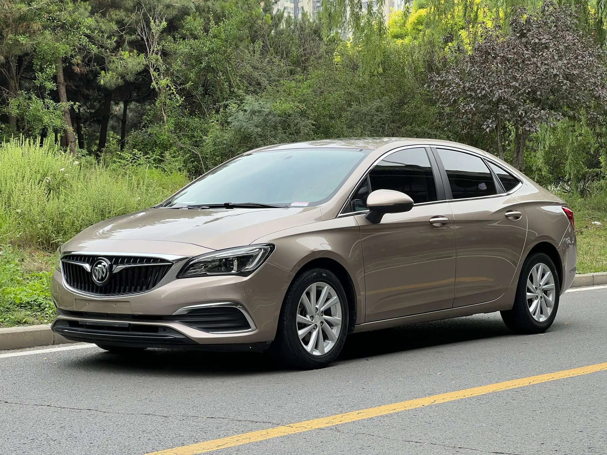 Buick Valeant