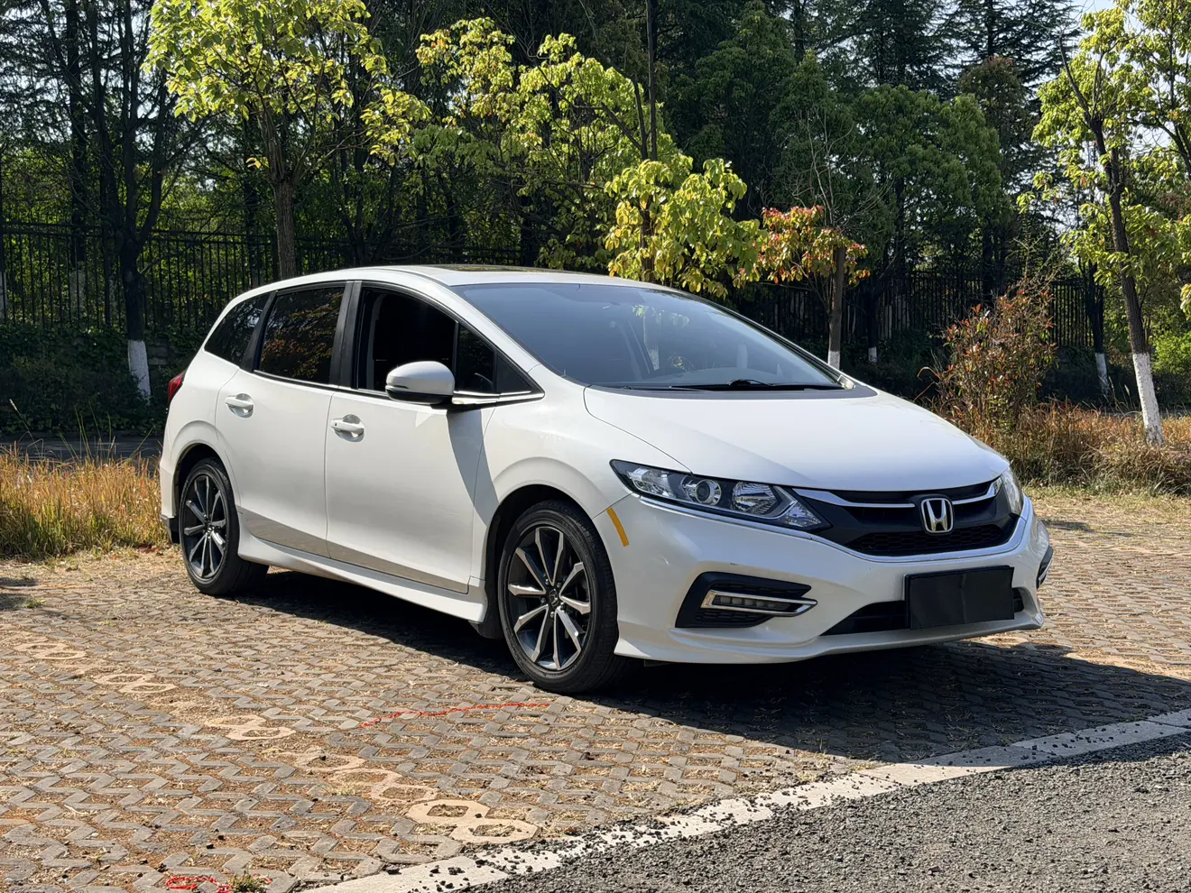 Honda Jed