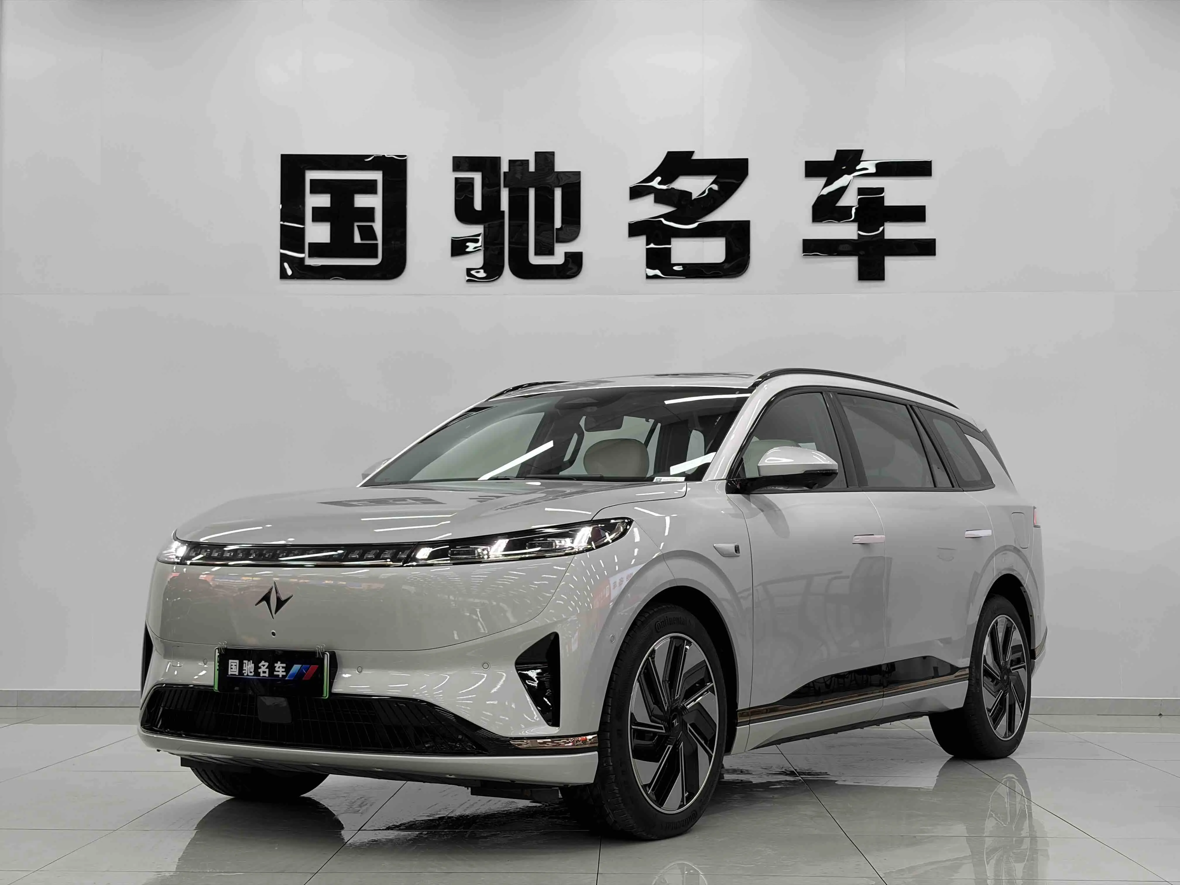 Dongfeng Yipai 008