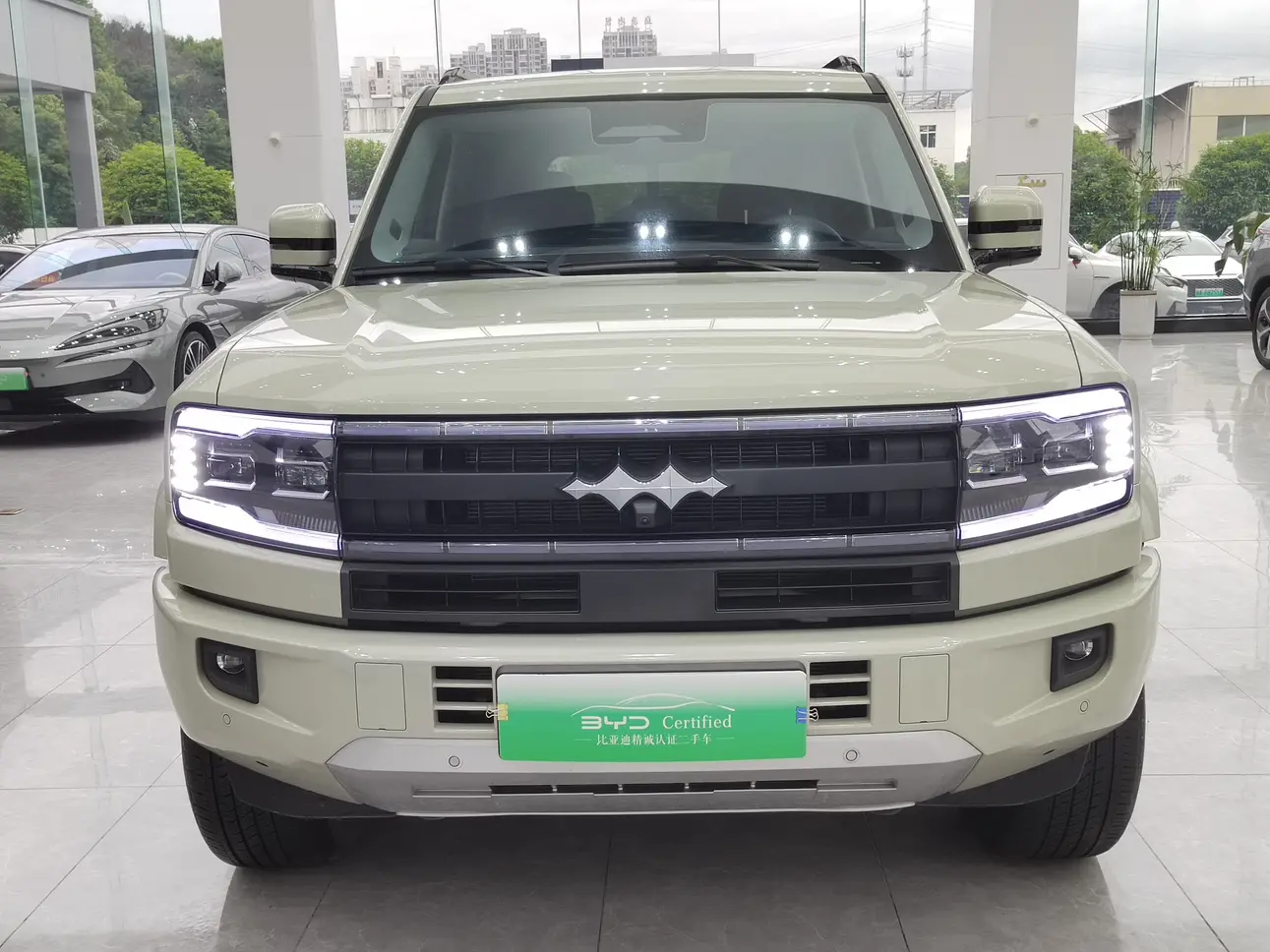 BYD Leopard Leopard 5