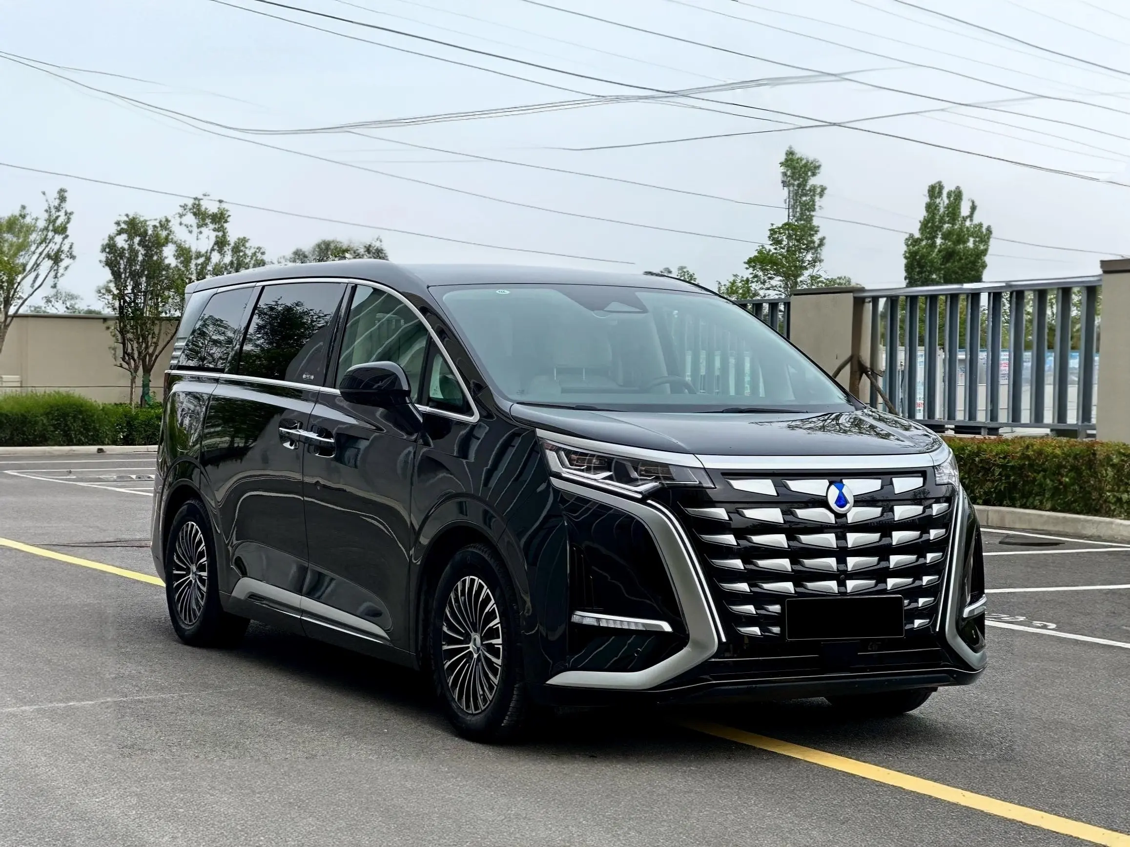 Denza D9 DM