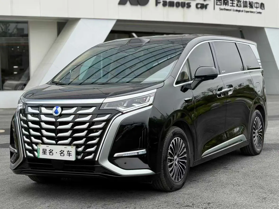 Denza D9 DM