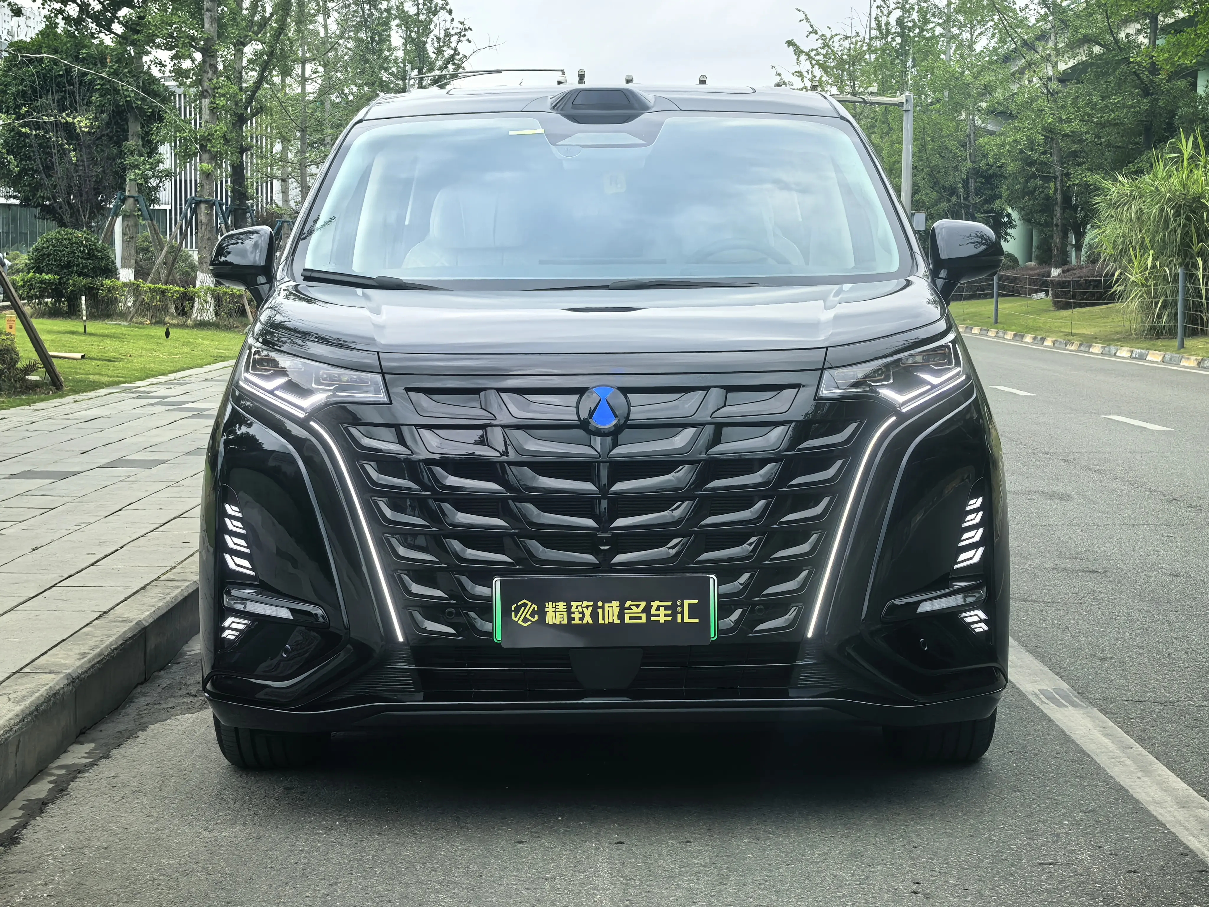 Denza D9 DM